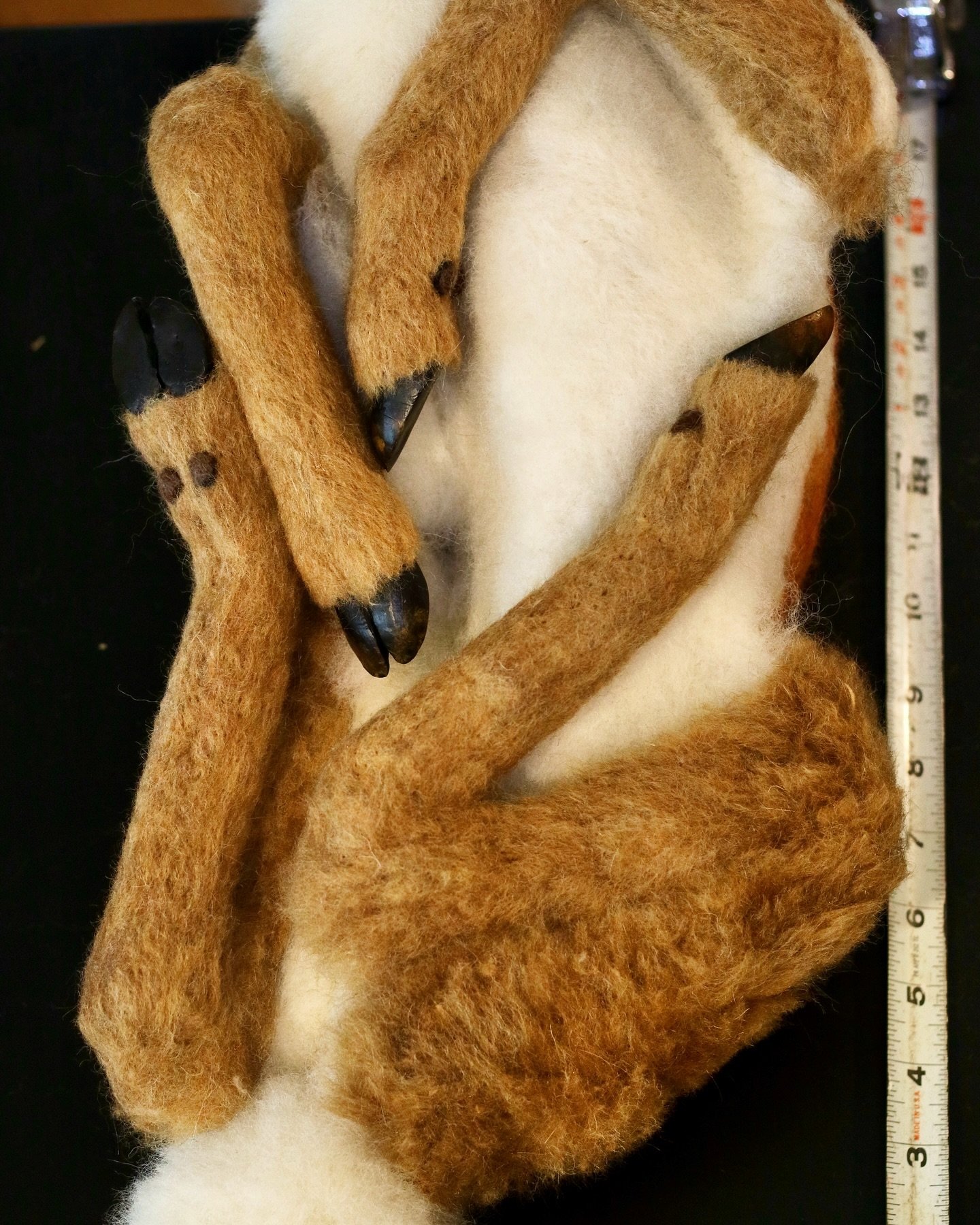 Another view from my workbench today. 
This is the finished bottom view of my life-size whitetail fawn.  Who really knows what the bottom of a recumbent deer looks like? 🤷&zwj;♀️ We just have to apply our best interpretation based on countless photo