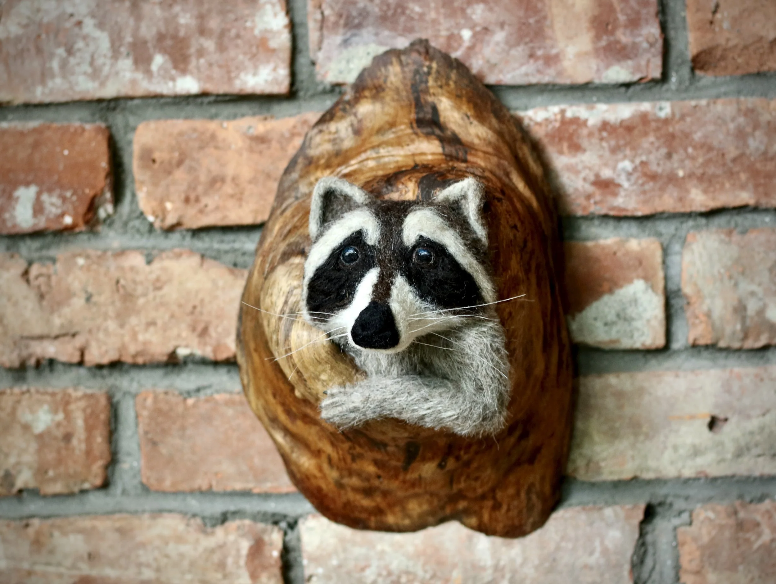 Raccoon Hollow