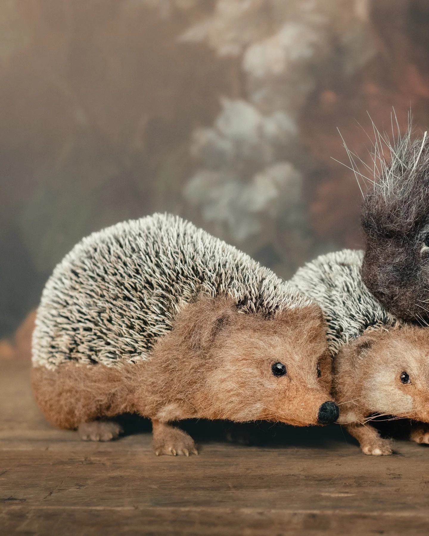 AT LAST! The prickly project I&rsquo;ve been working on for three months is revealed. These two needle felted life-size hedgehogs and 14 inch long North America porcupine will soon make their home in coastal Maine. 
The porcupine was a massive (for n
