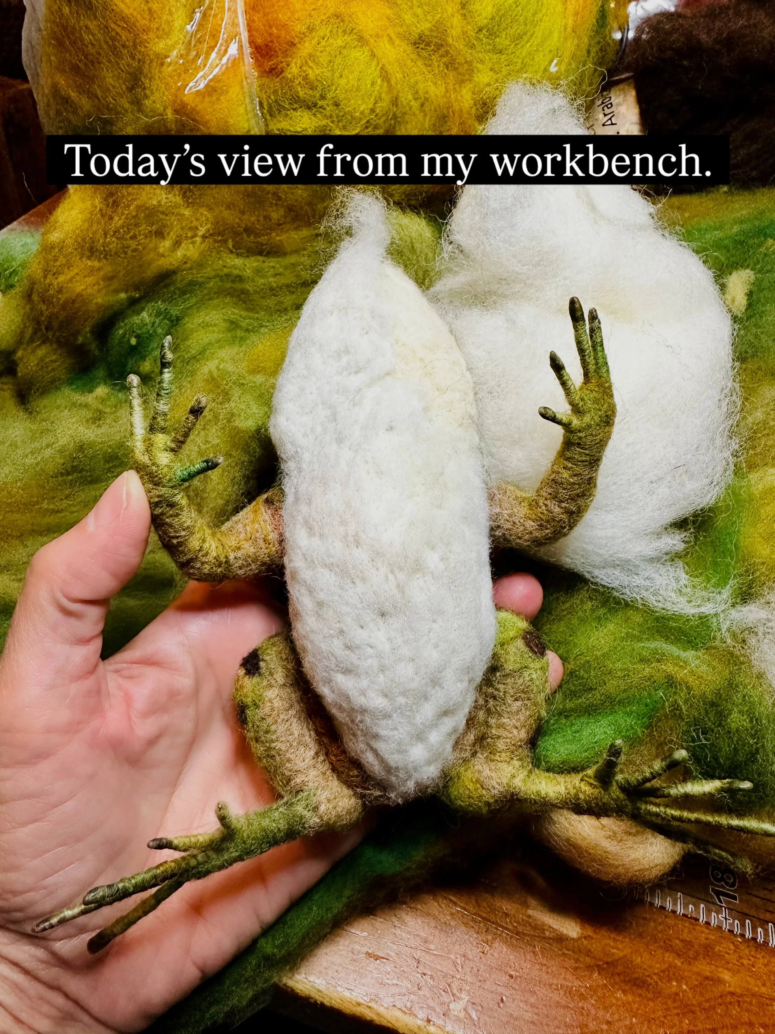 Today&rsquo;s view from my workbench: A needle-felted wool northern leopard frog is bringing back memories of 7th grade life science class. 😟 🐸 I took the zero and sat in the hall for refusing to do the dissection.