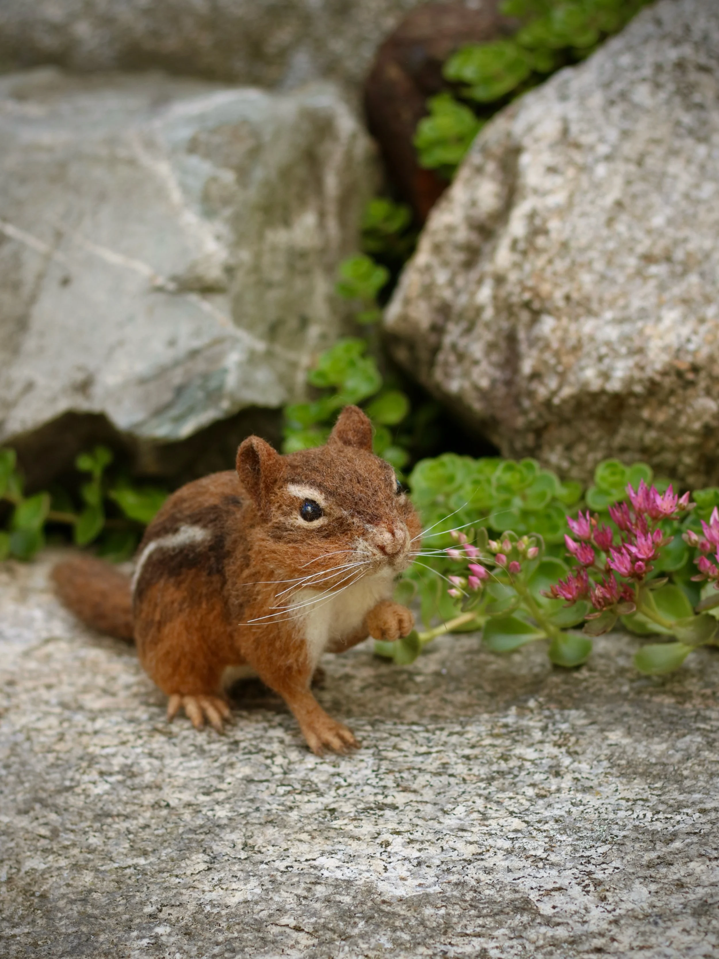 One last photo of my needle-felted wool chipmunk in the garden before personally delivering him to its new owner. 🐿️