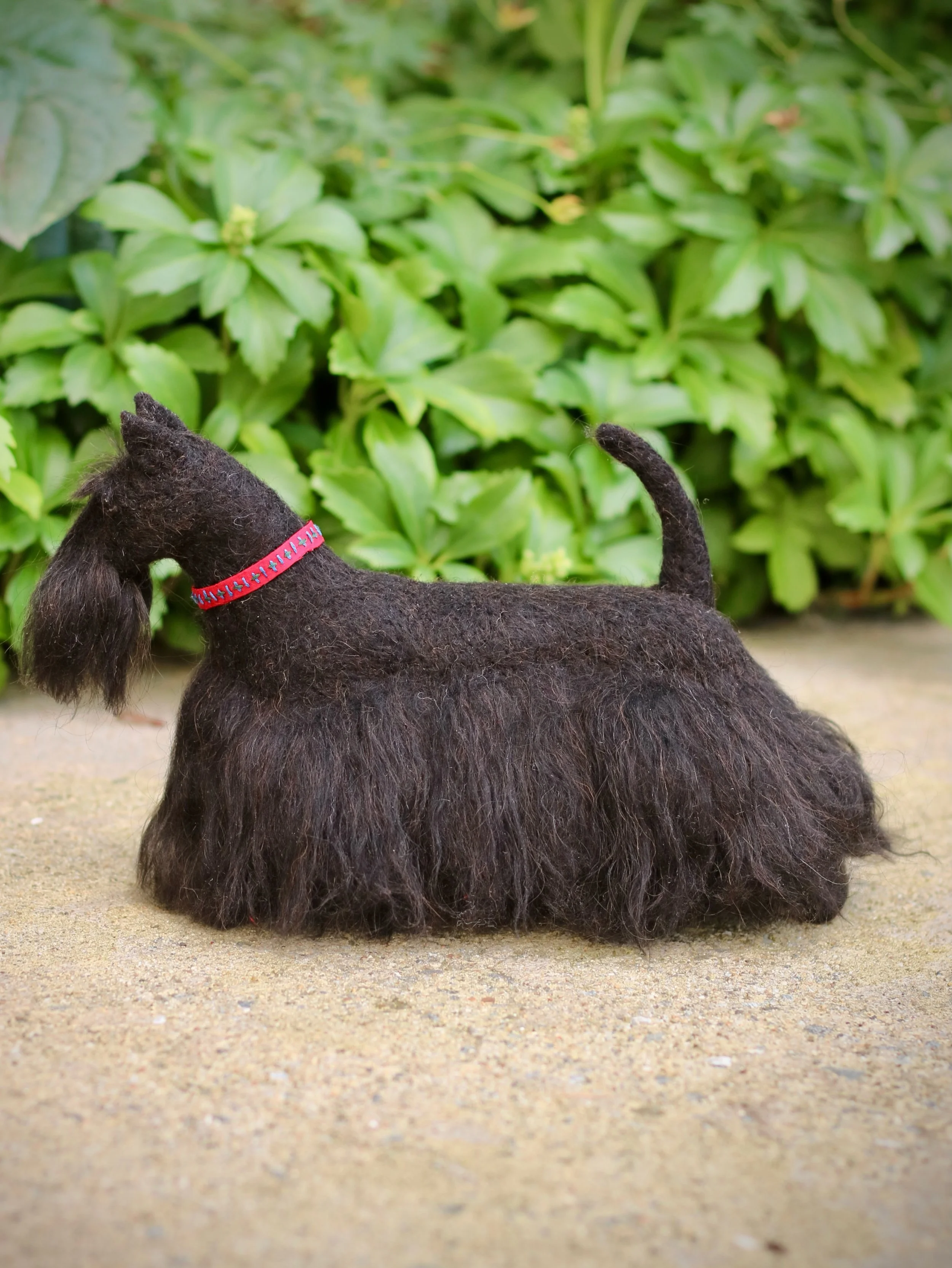 Pardon me. On this International Dog Day, Angus would like you to take a moment to admire his fancy grooming and handmade  silk collar. He kindly asks that you swipe through the photos so that you can appreciate him from different angles. He&rsquo;s 