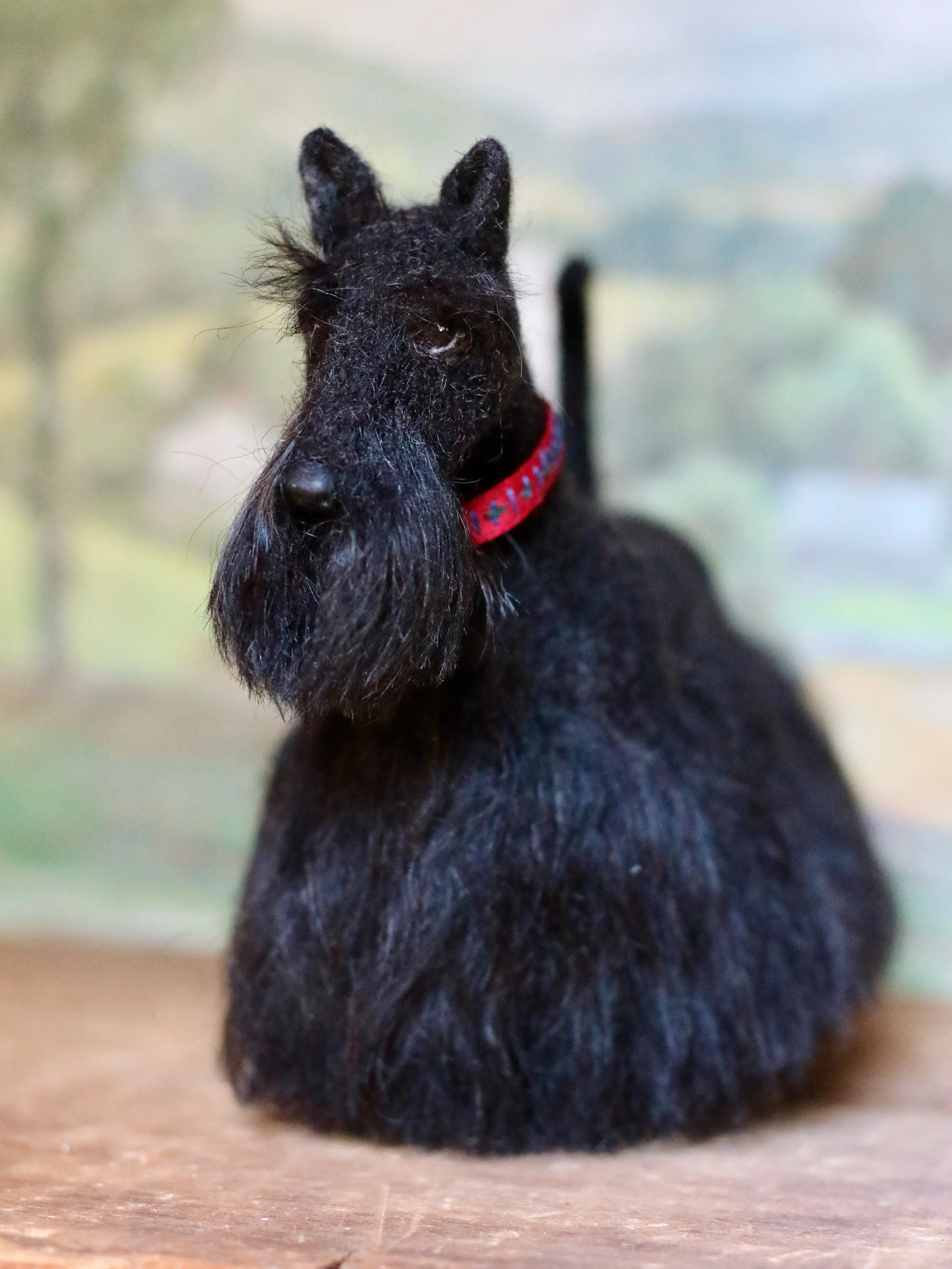 Angus had his beard and skirt groomed today. Isn&rsquo;t he handsome? 

Angus is a needle felted wool Scottish Terrier made with a custom blend of goat mohair, silk, and angora, and more. He is currently available for sale on my website. Link in prof