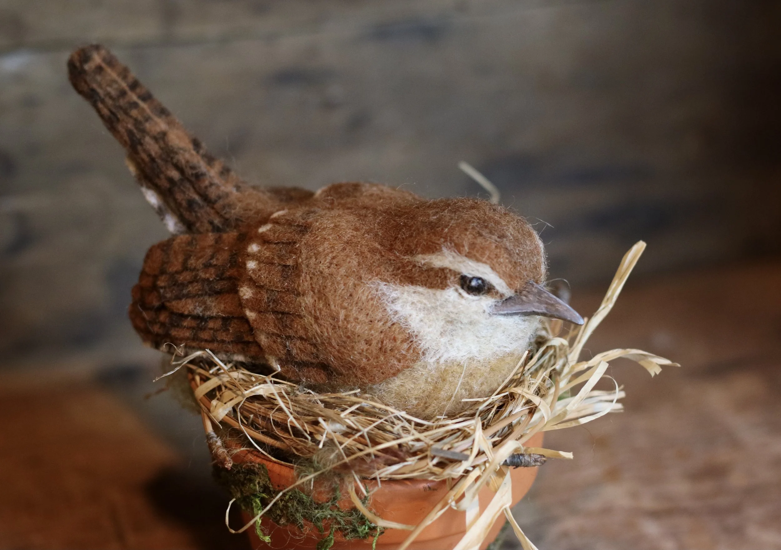 Wren