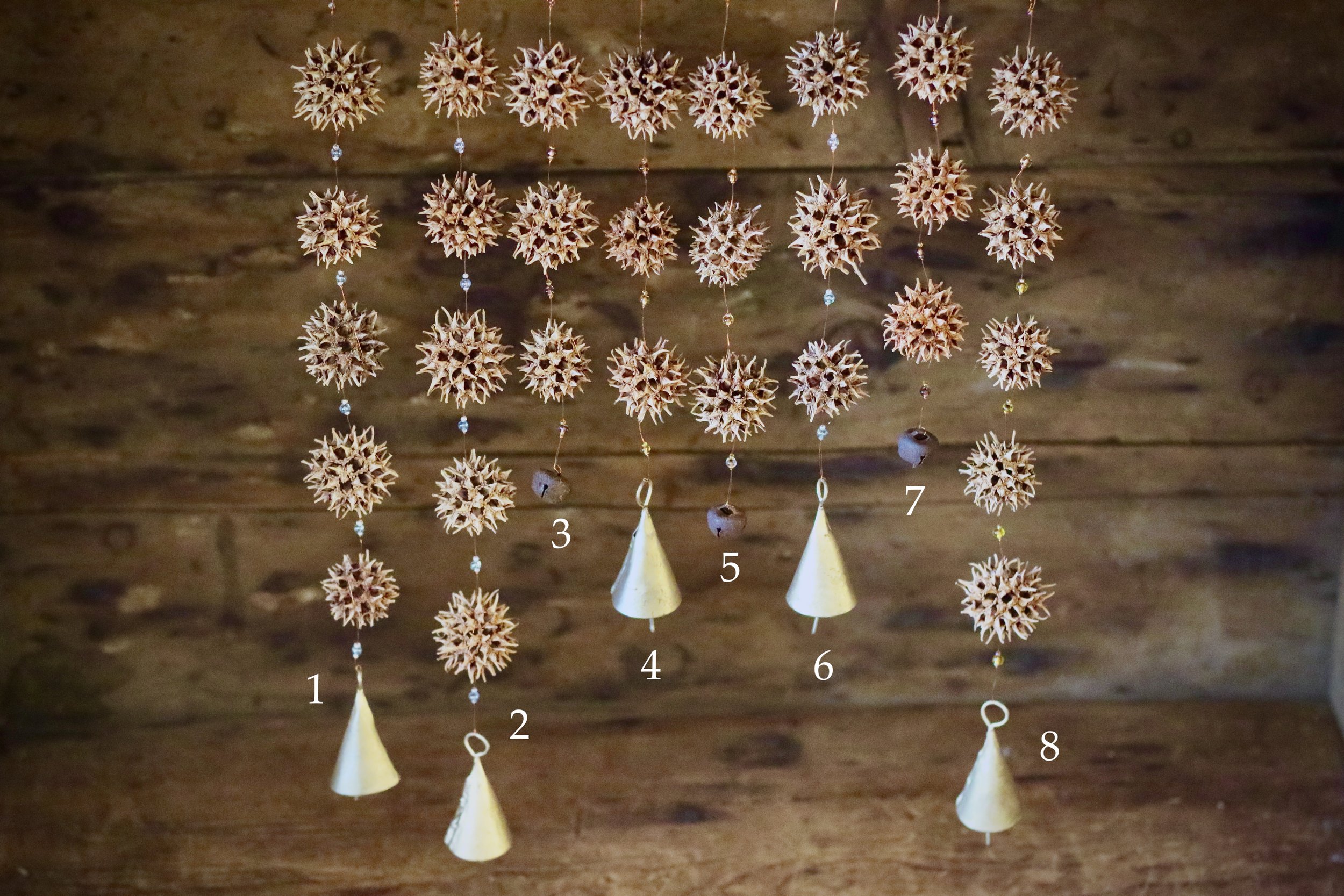 Sweetgum numbered.jpeg