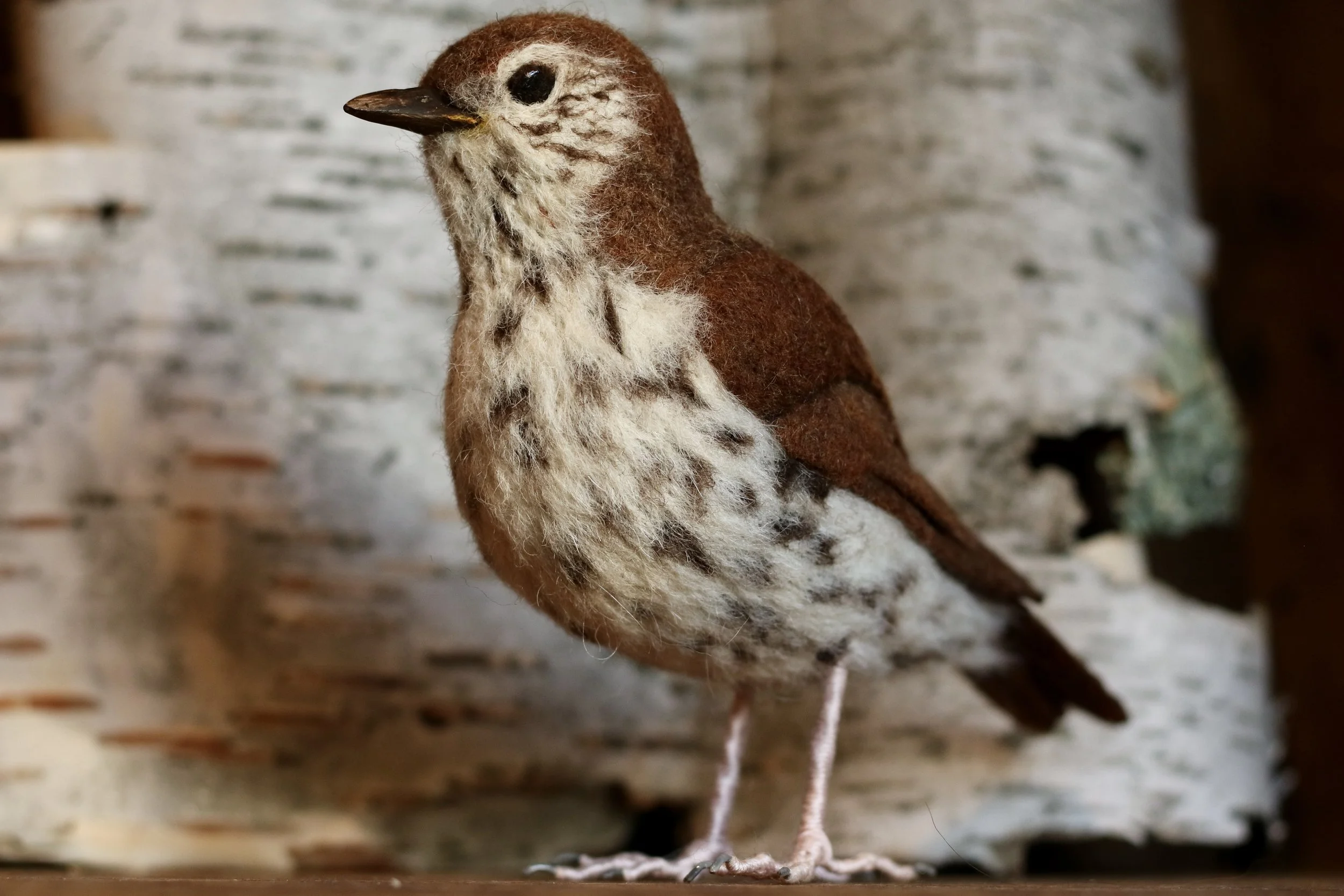 needle felted wood thrush