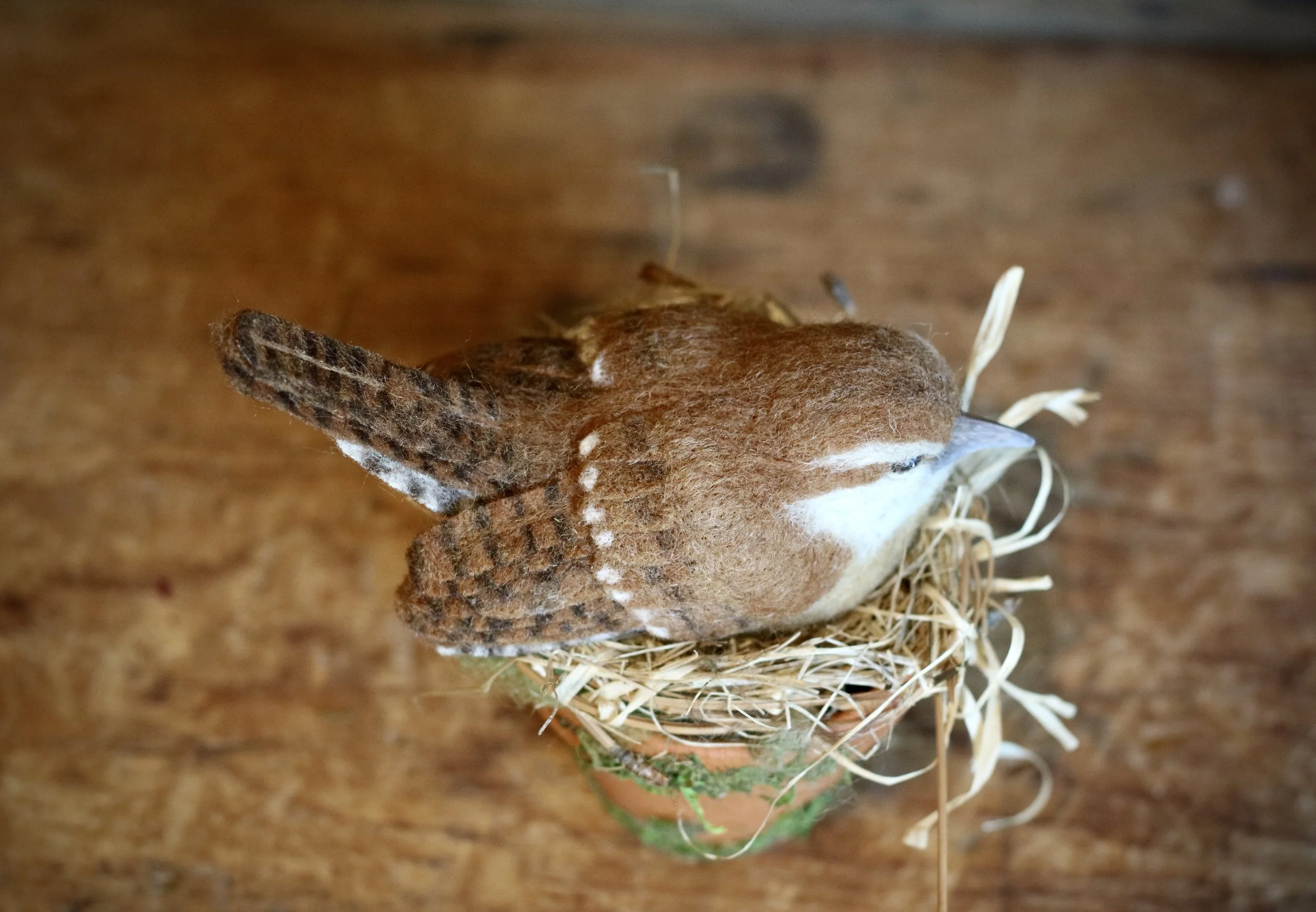 needle felted Carolina wren