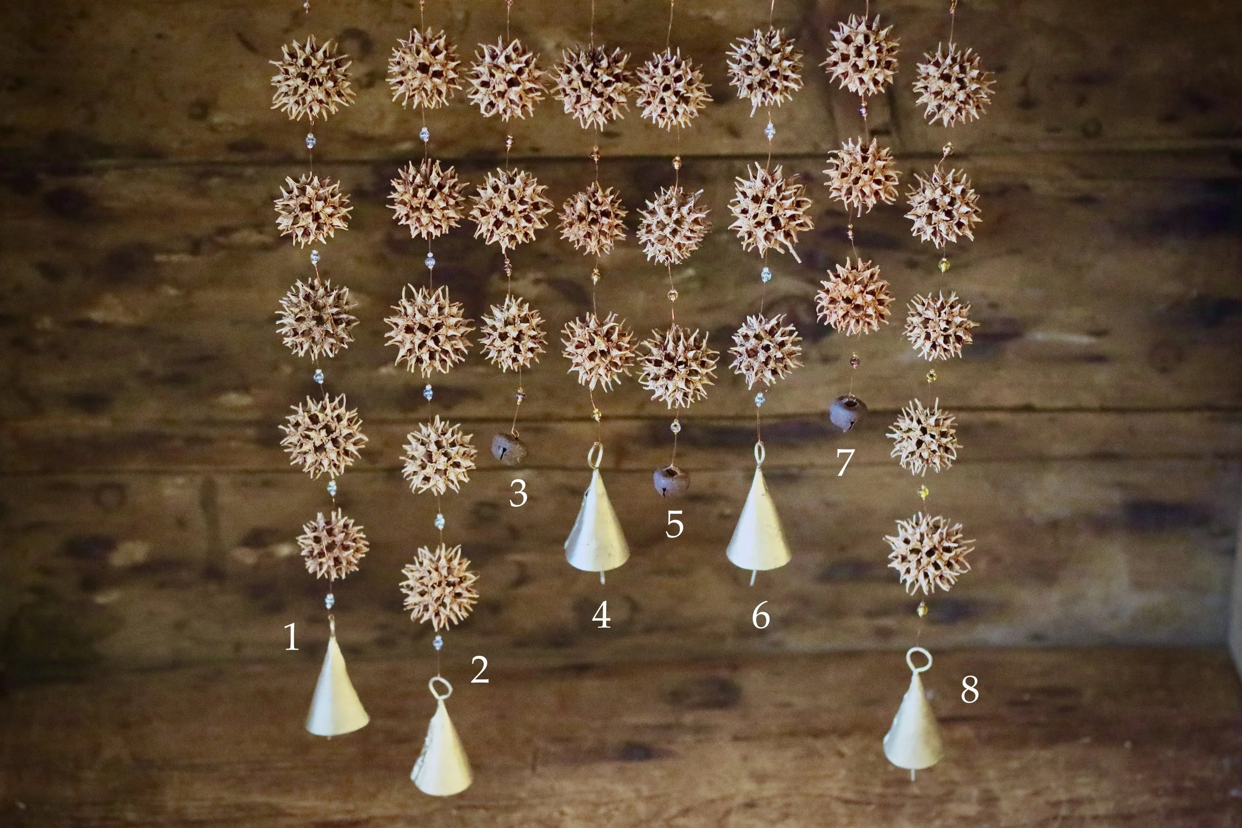 Sweetgum numbered.jpeg