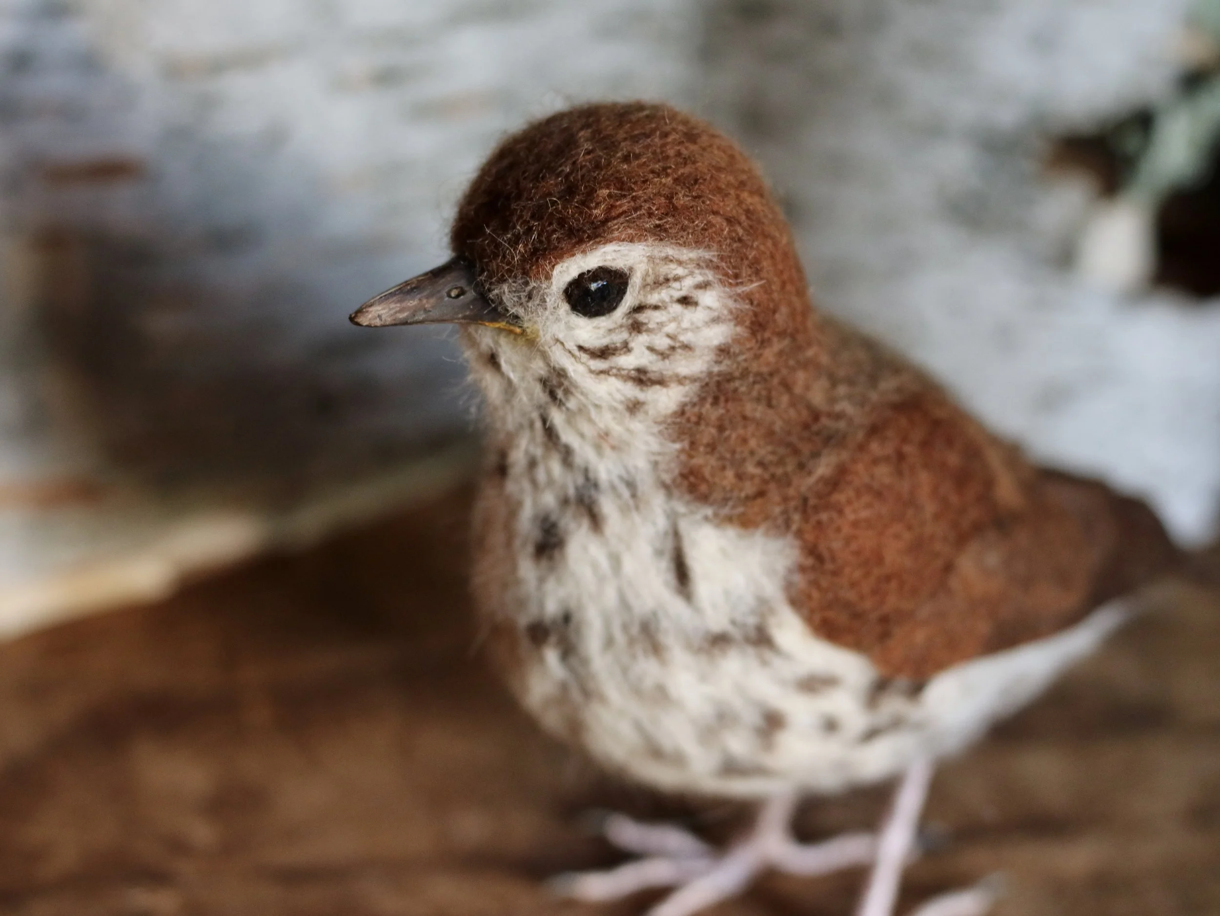 needle felted wood thrush