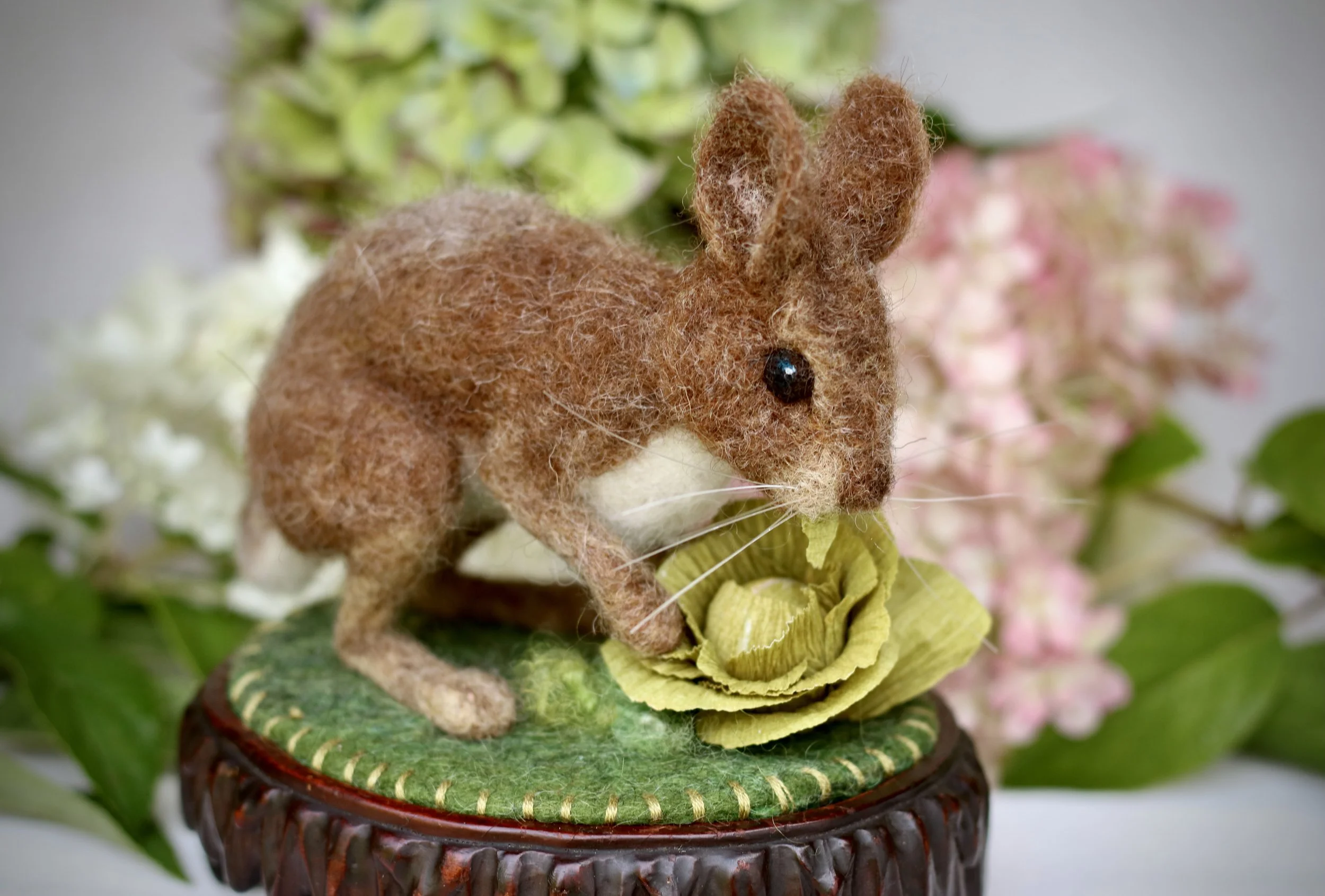 Rabbit In The Garden