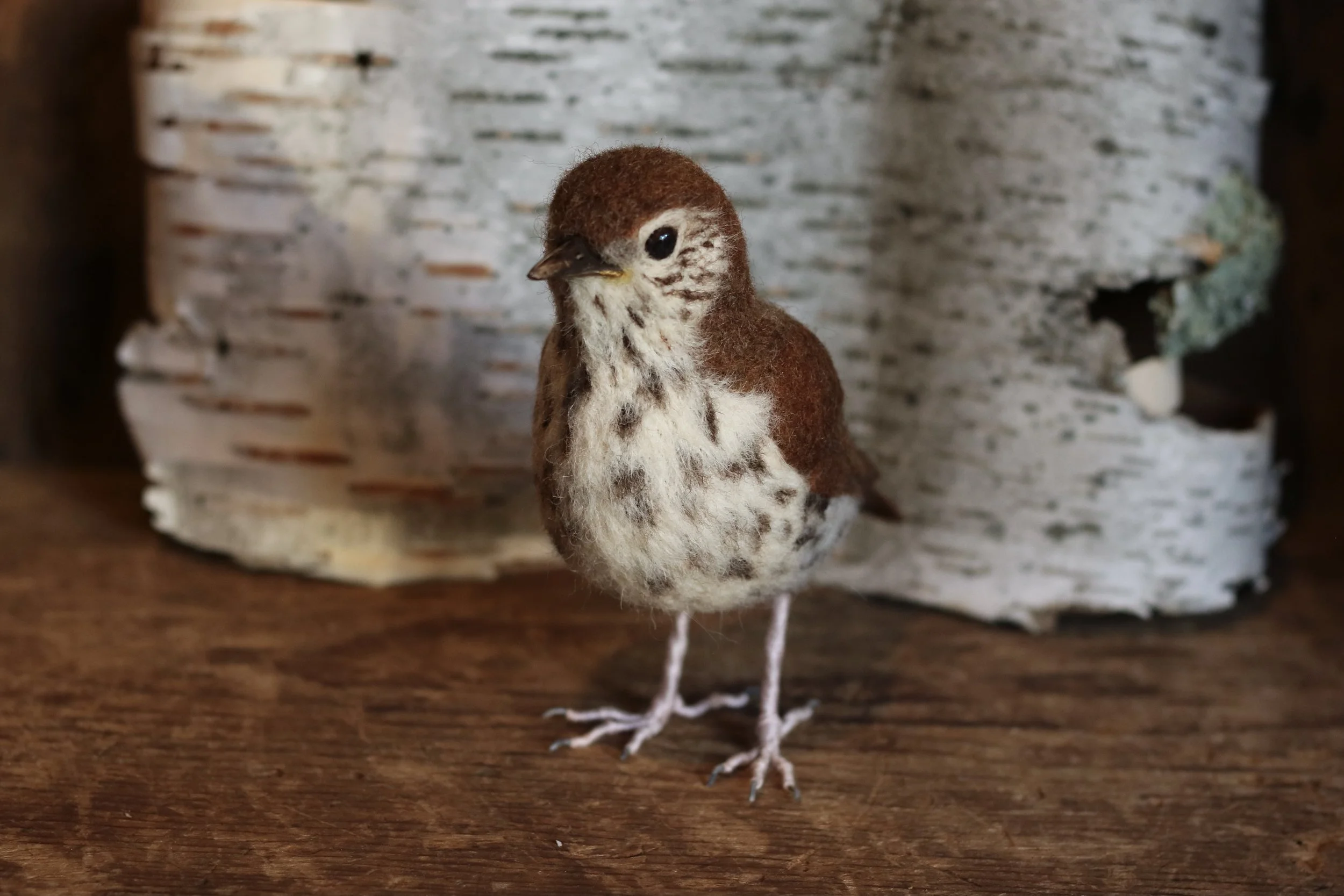 needle felted wood thrush