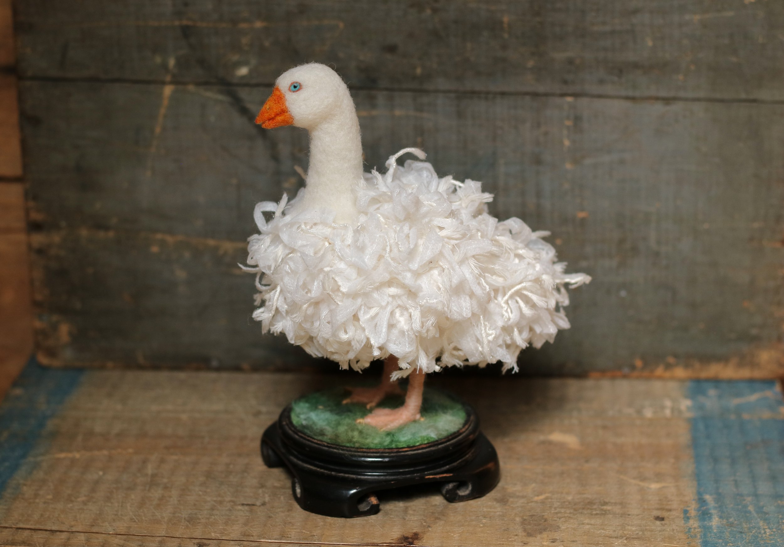 A9F2796B-ABF2-4740-B381-F9ED6D59F2F6_1_201_a.jpeg