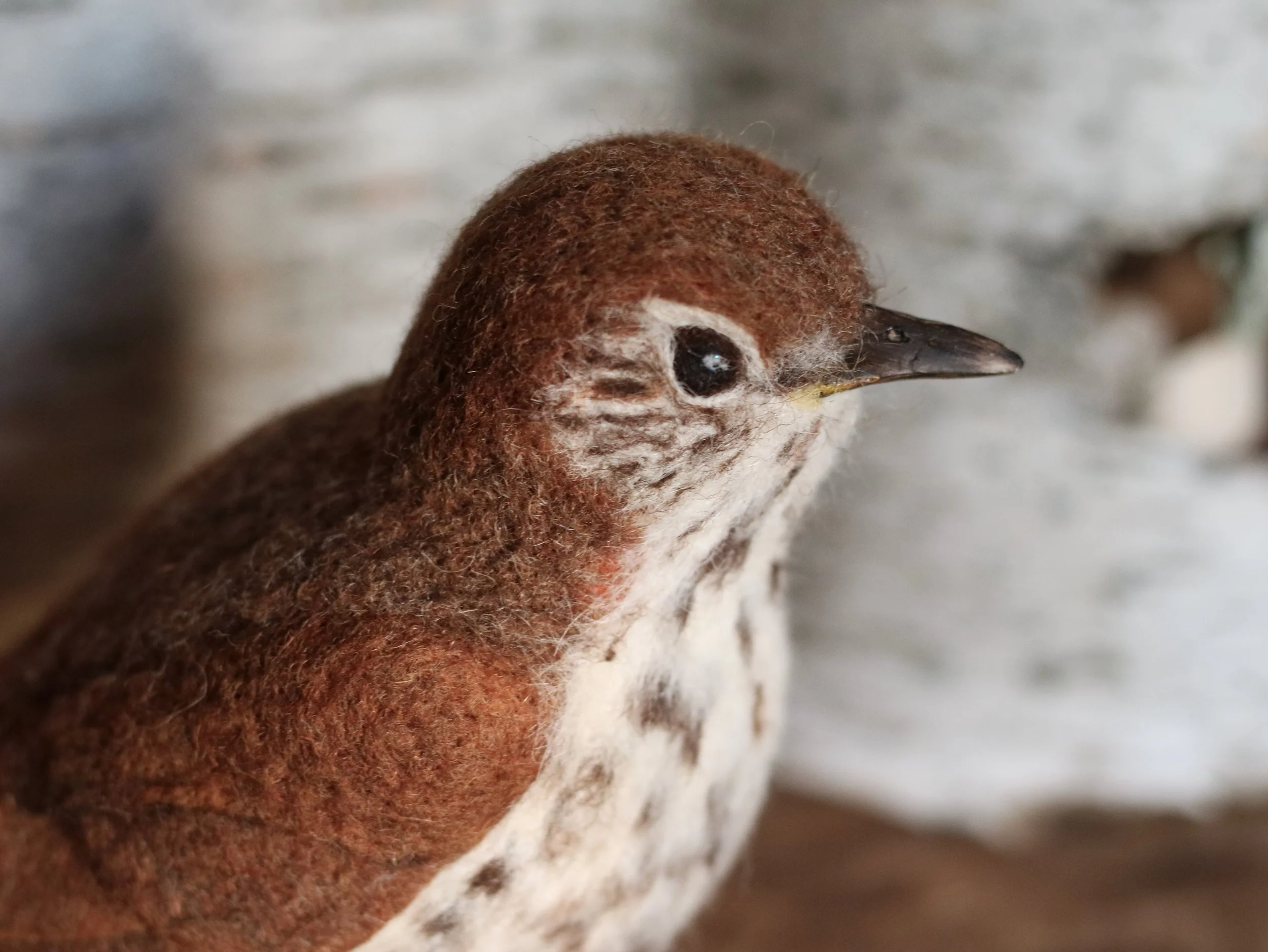 needle felted wood thrush