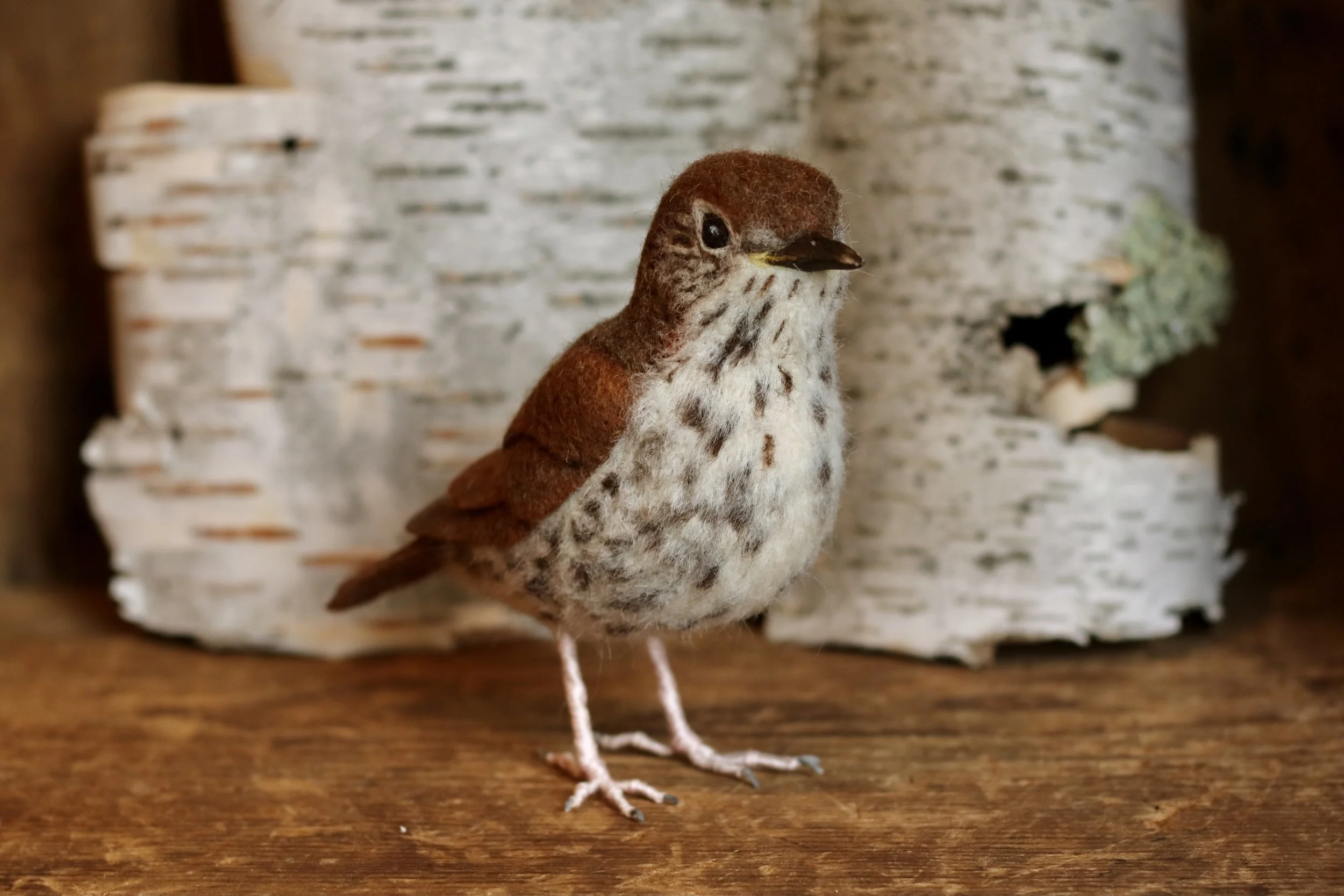 needle felted wood thrush