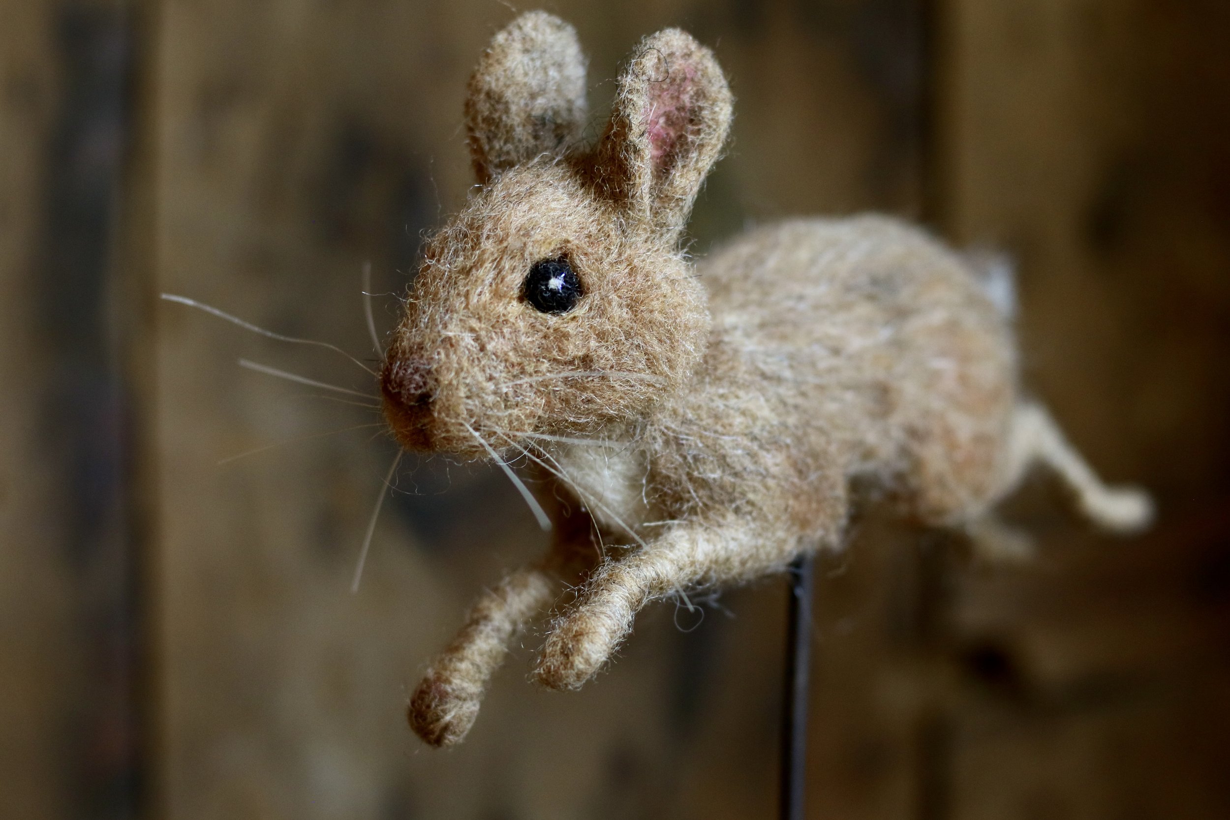 needle felted rabbit