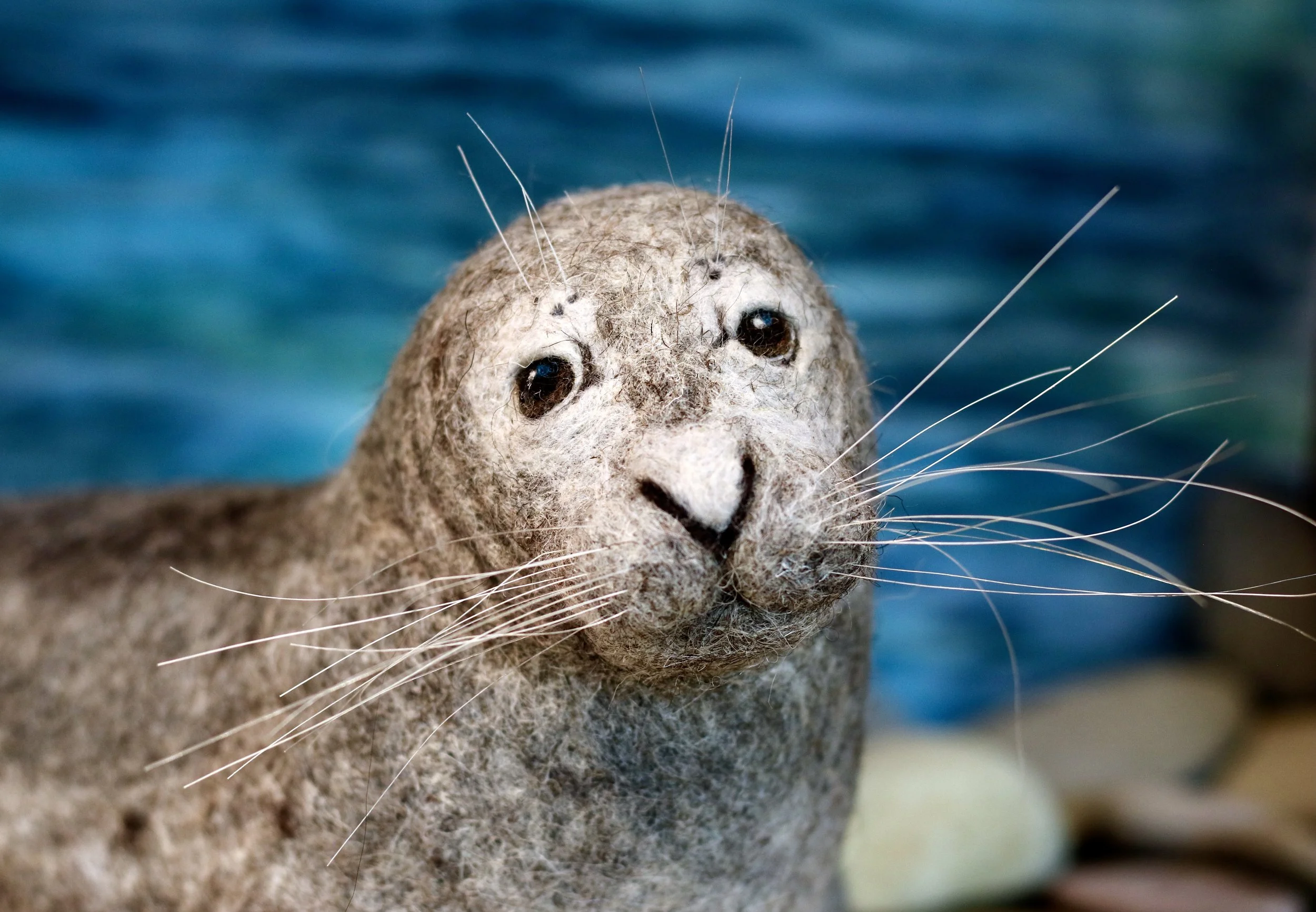 needle felted wool seal