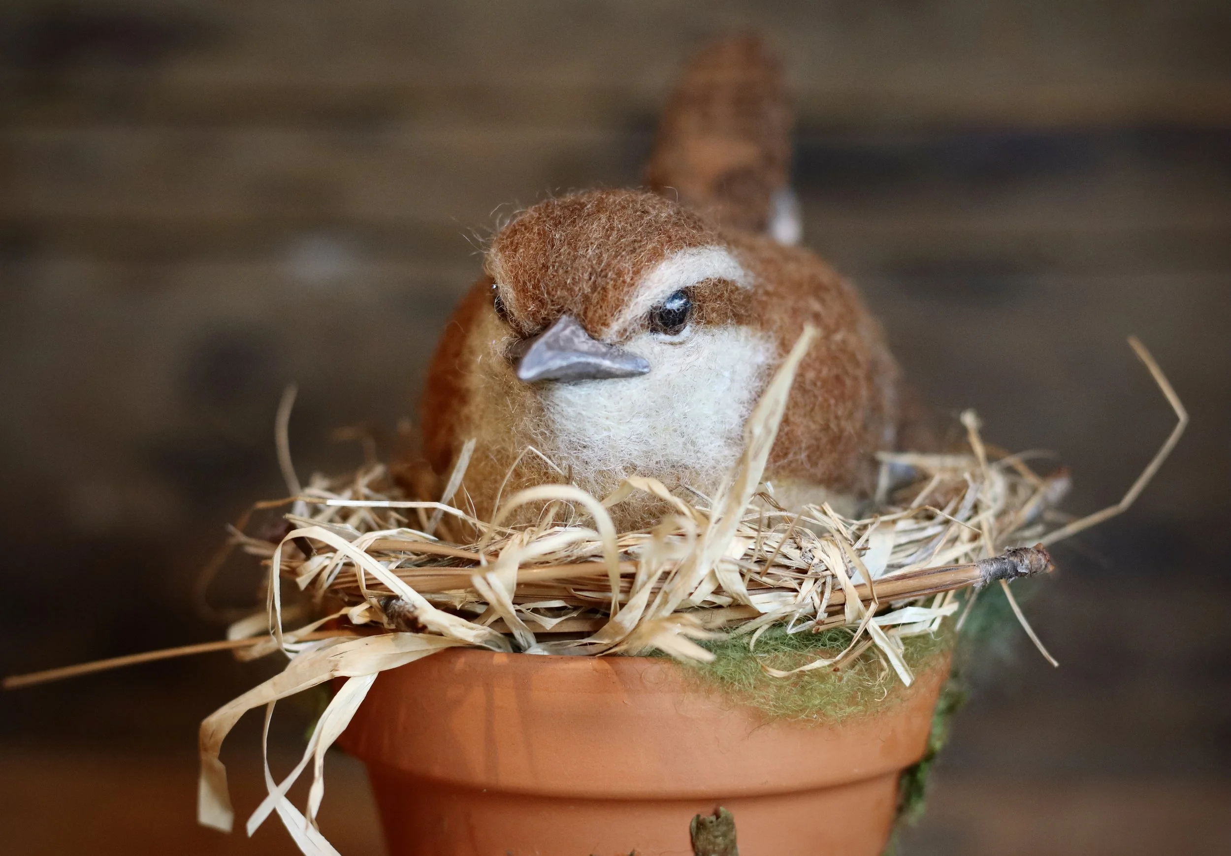 needle felted Carolina wren