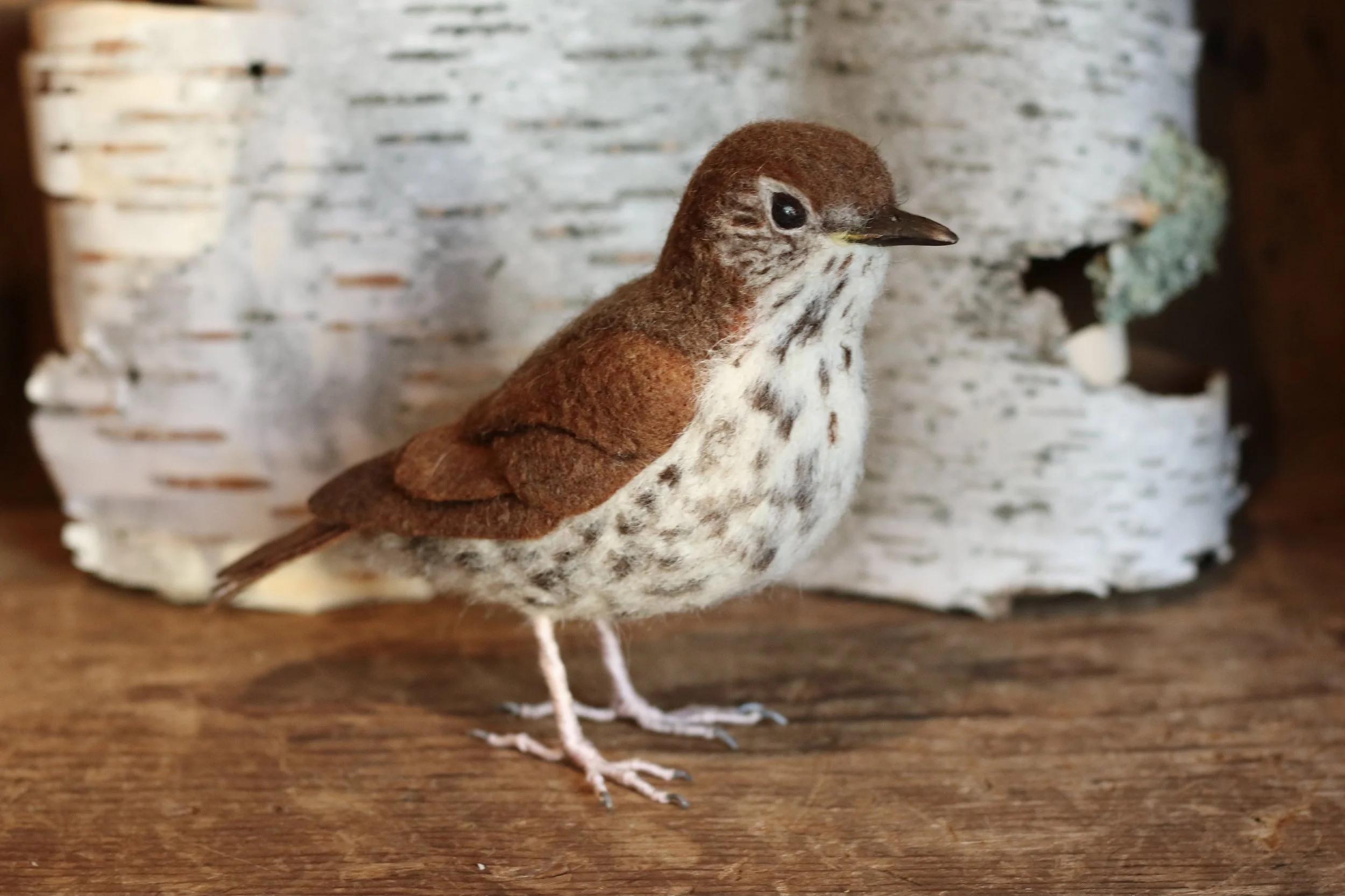 needle felted wood thrush