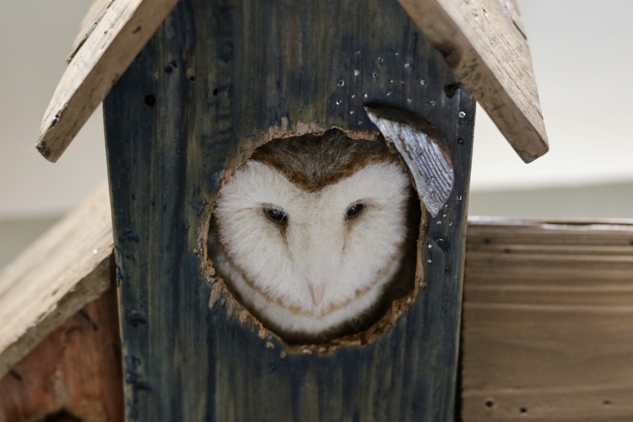 Barn owl birdhouse needlefelt