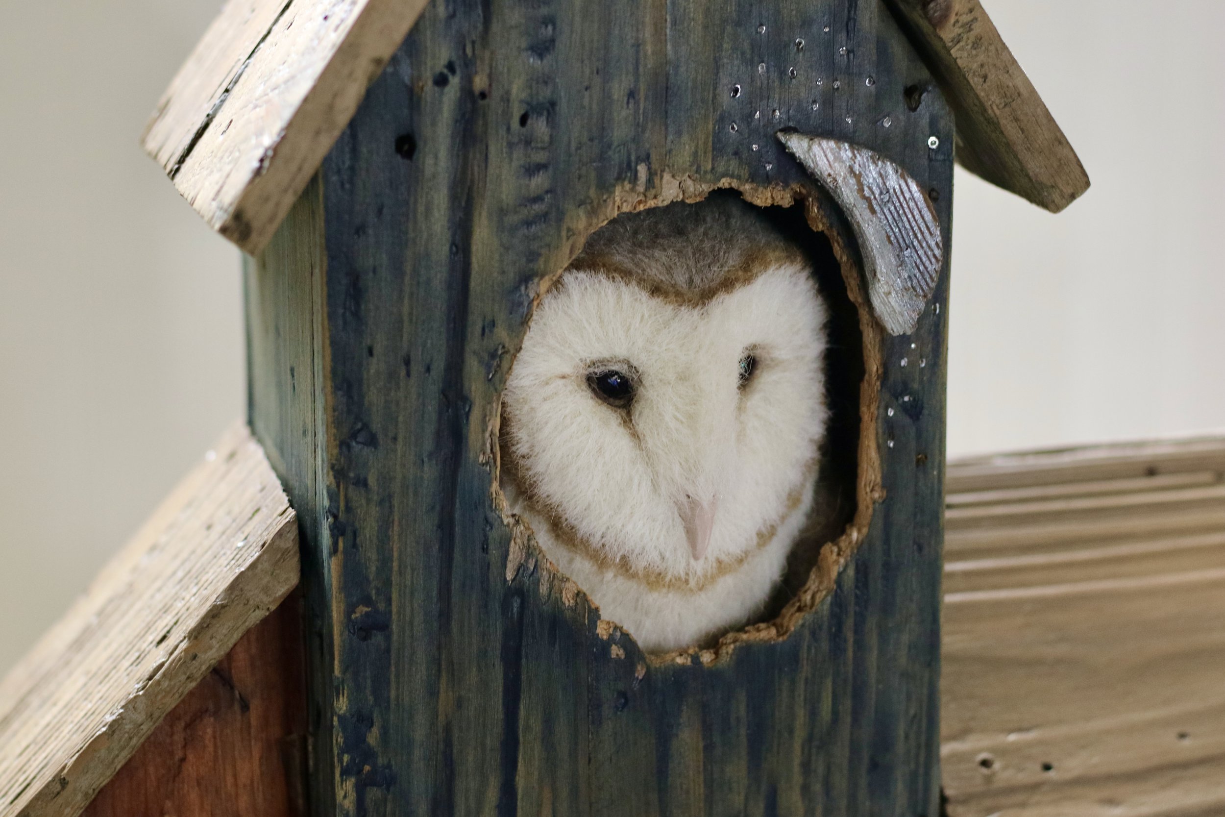 Barn owl birdhouse needlefelt