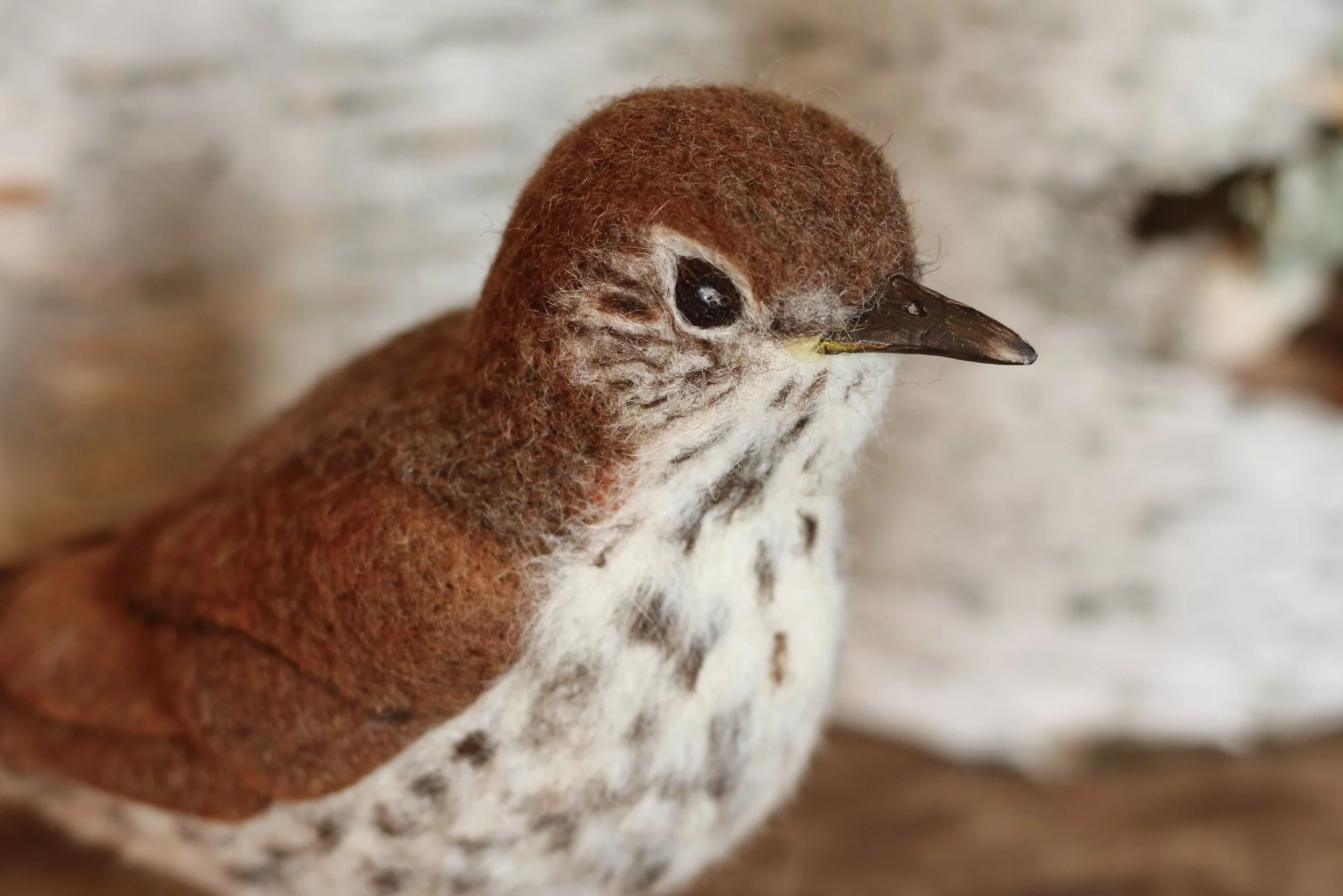 needle felted wood thrush