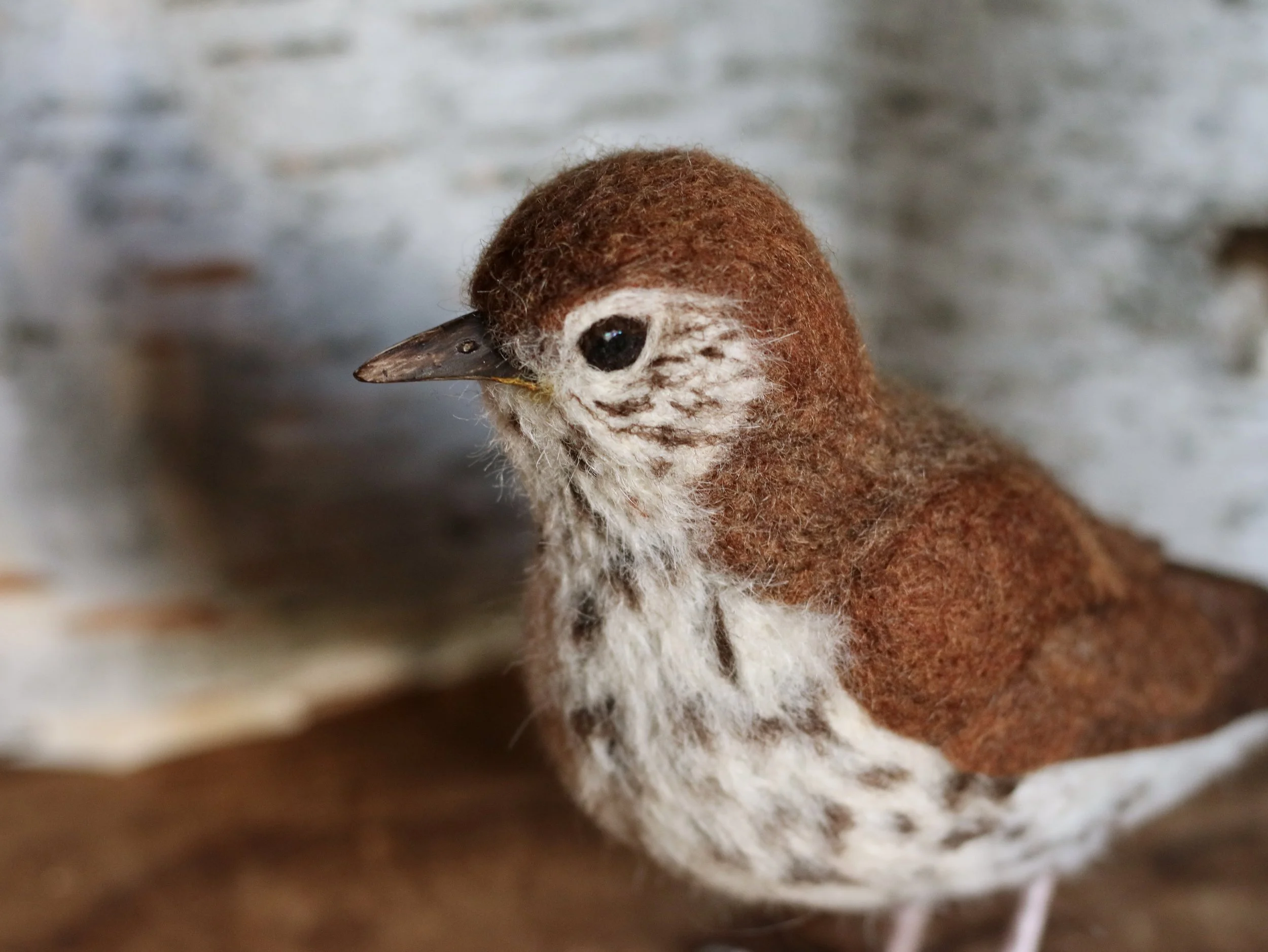 needle felted wood thrush