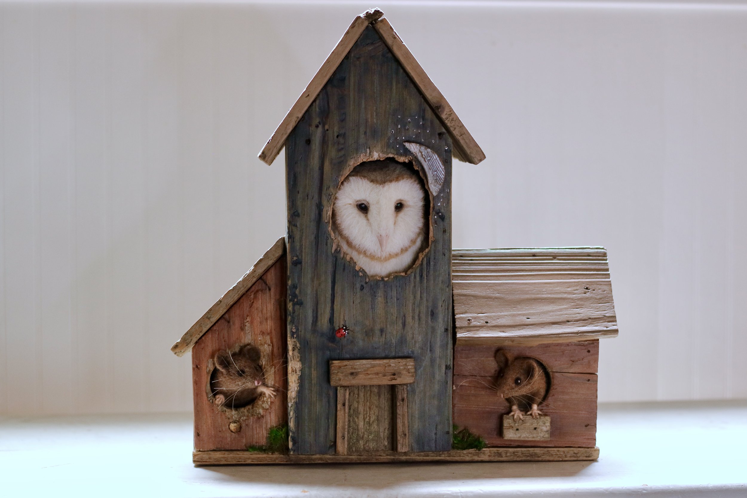 The Old Birdhouse