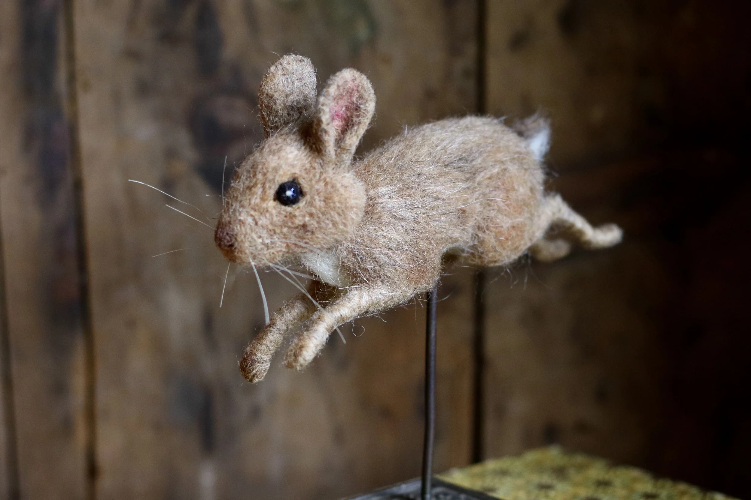 needle felted rabbit