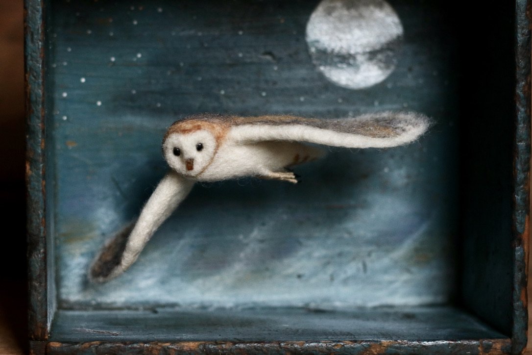 barn owl diorama