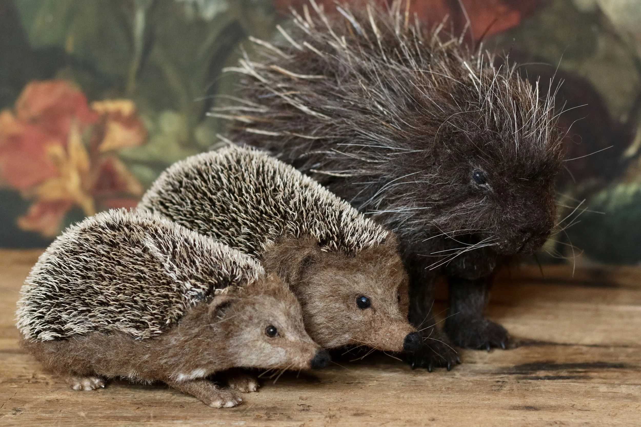 For MW Hedgehogs and Porcupine
