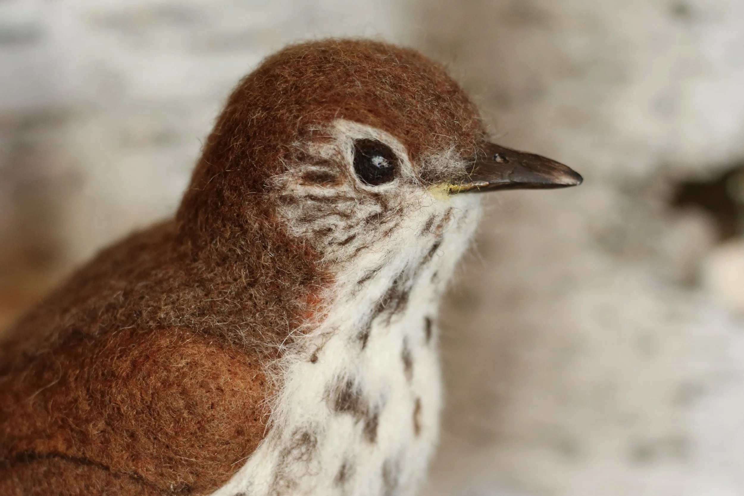 needle felted wood thrush