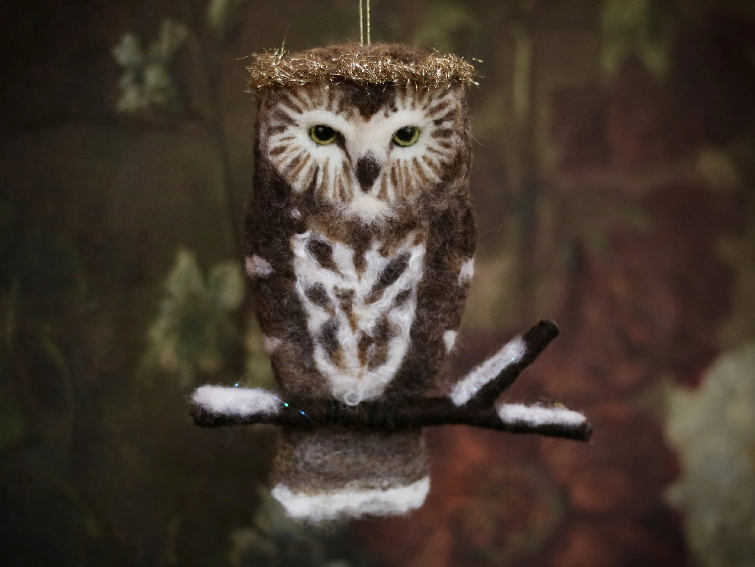 Crowned Saw Whet Owl