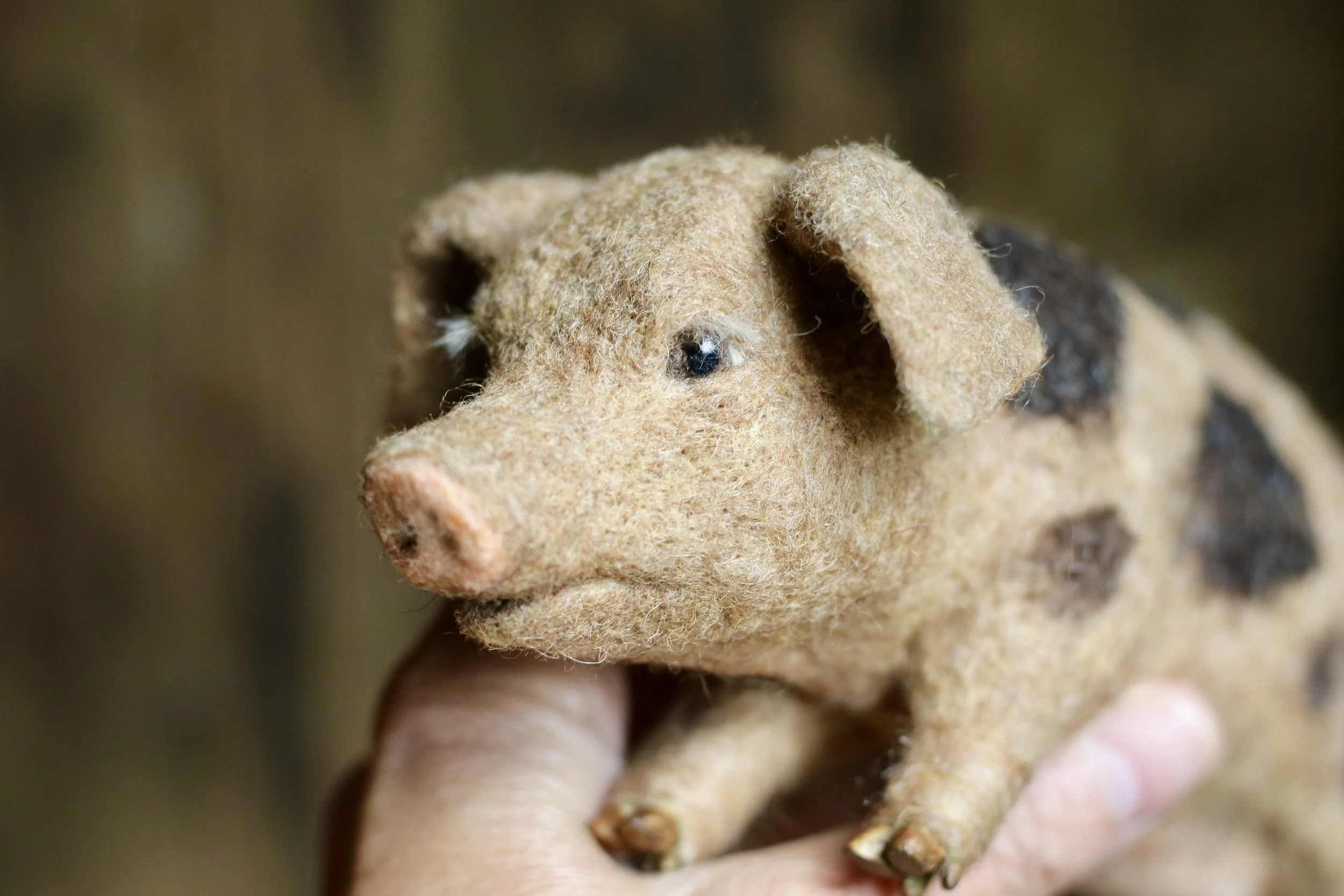 needle felted pig
