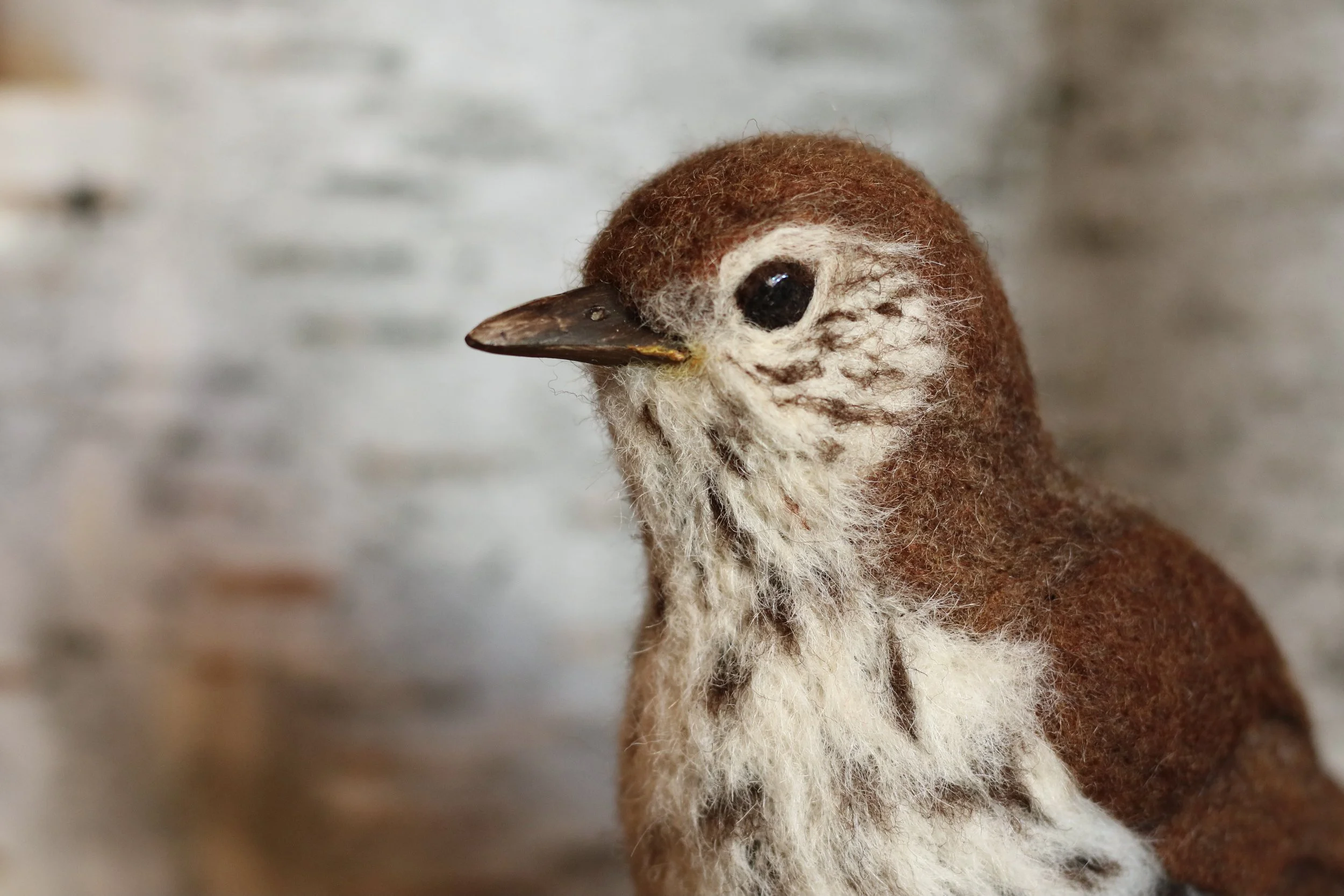 needle felted wood thrush