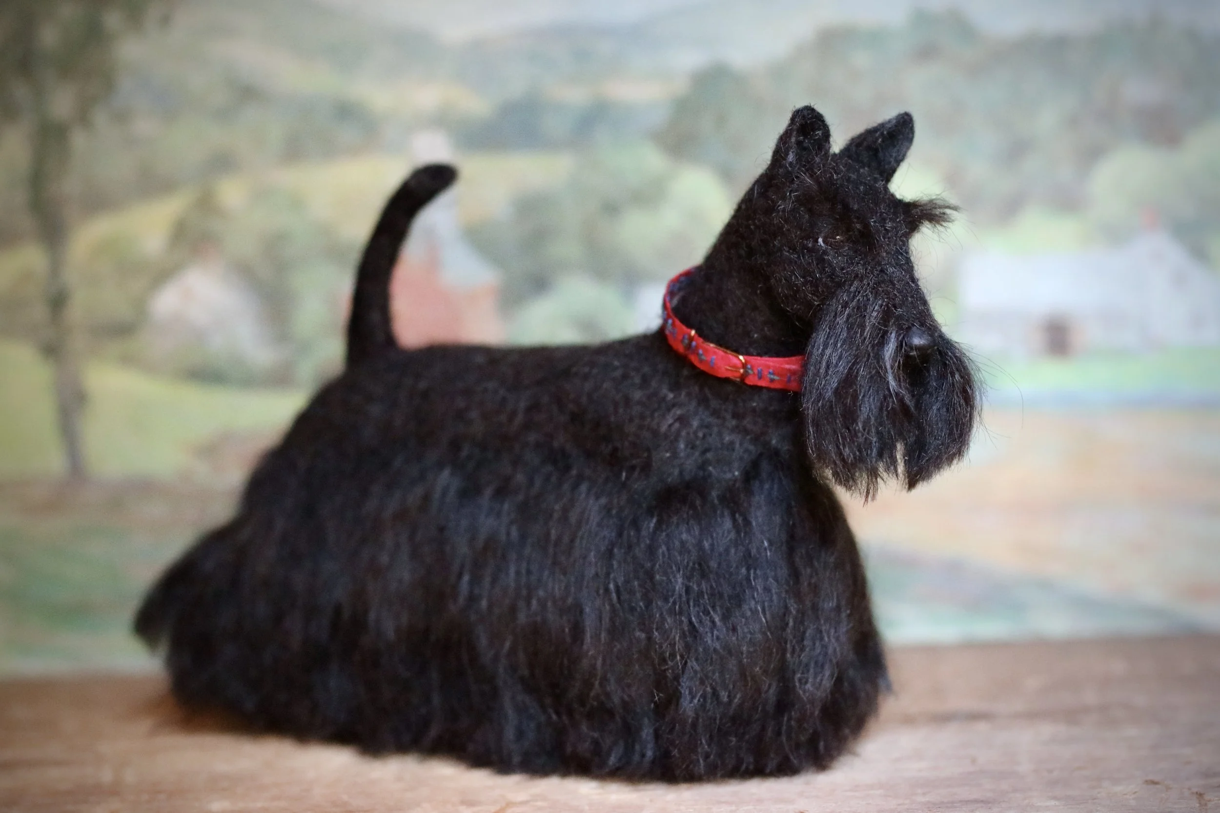 Scottish Terrier