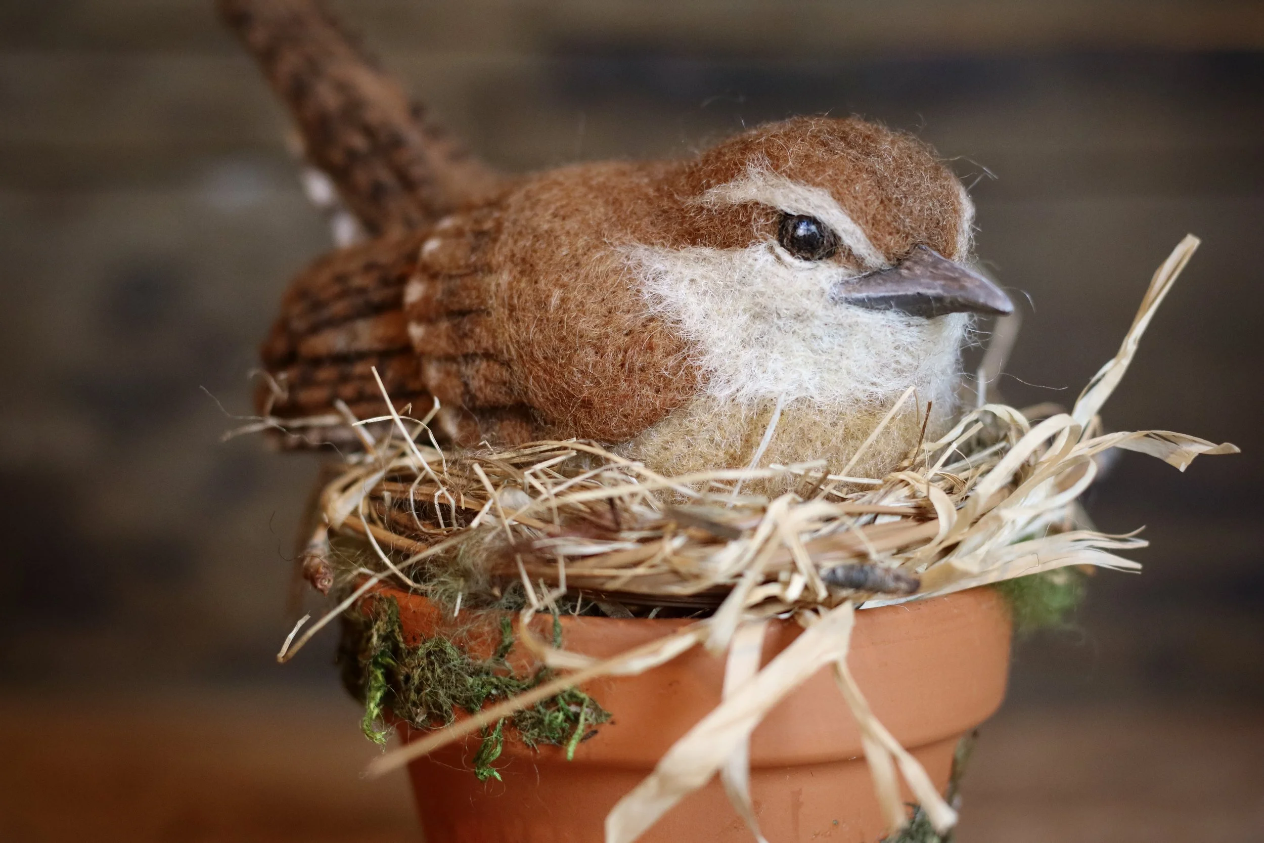 needle felted Carolina wren