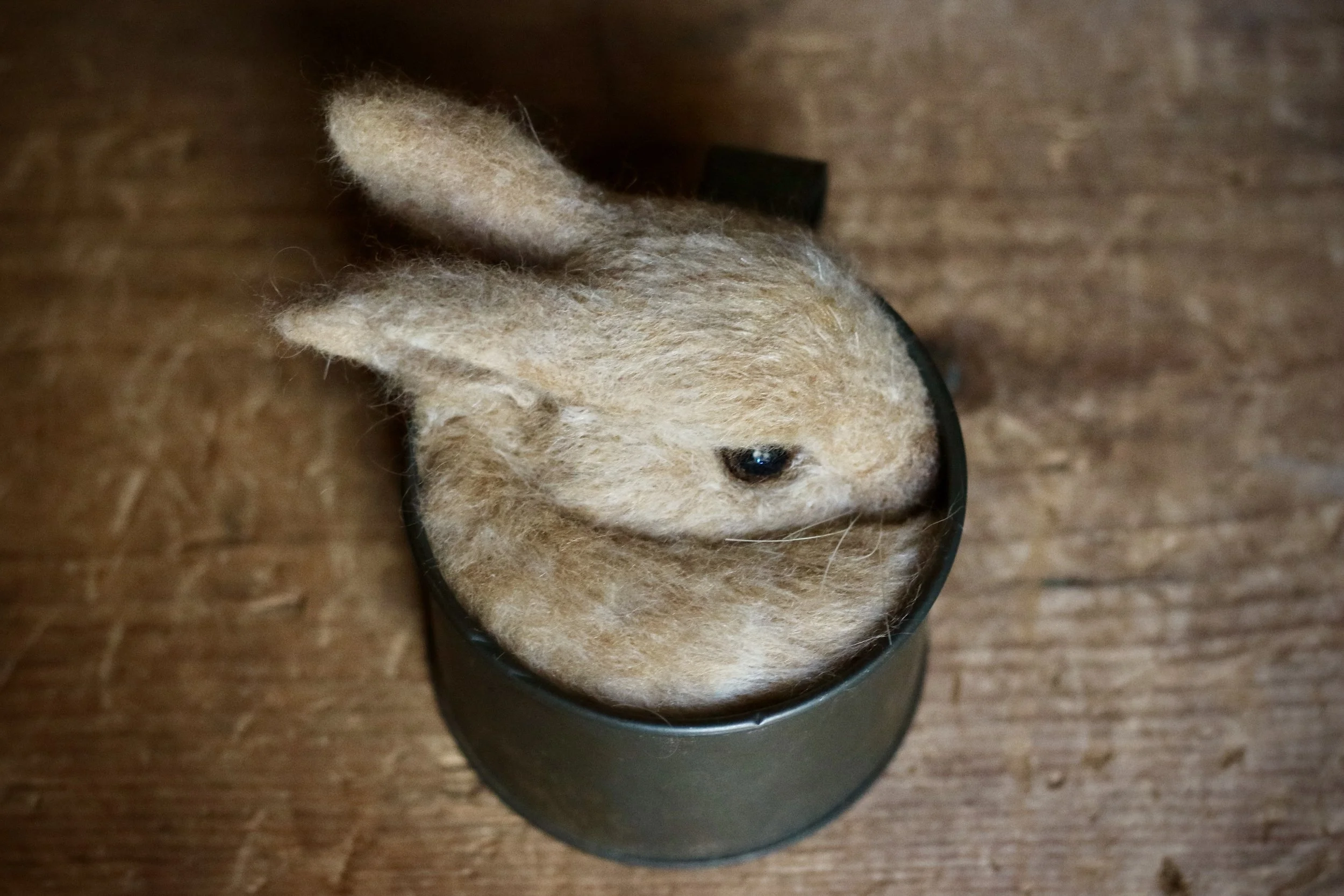 needle felted bunny