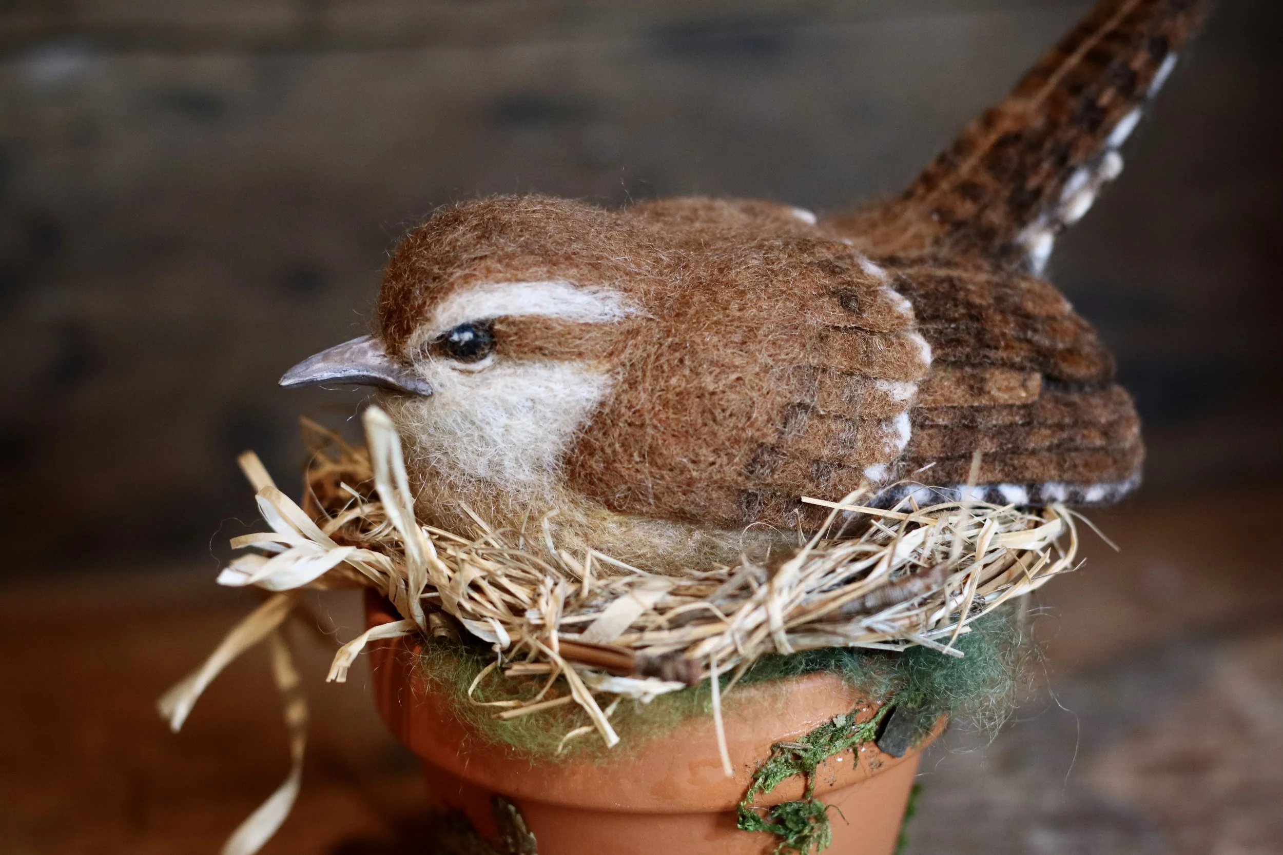 needle felted Carolina wren