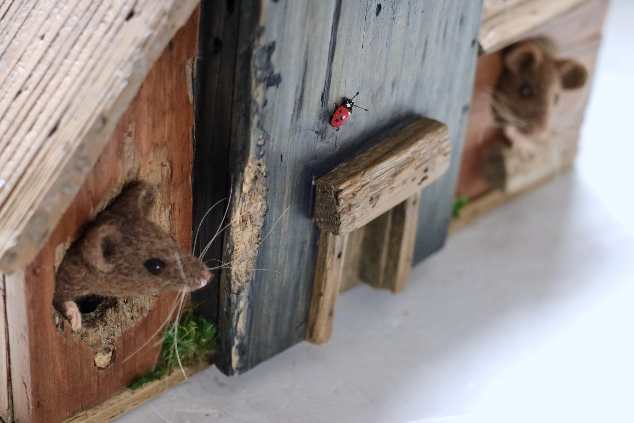 Barn owl birdhouse needlefelt