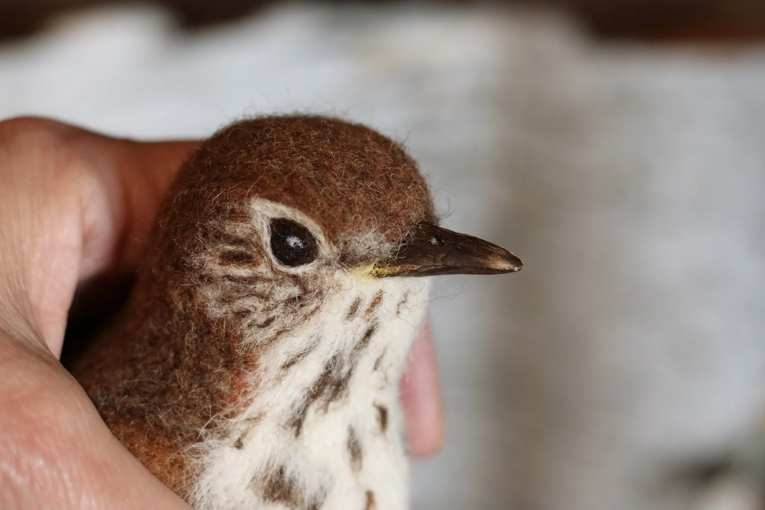 needle felted wood thrush