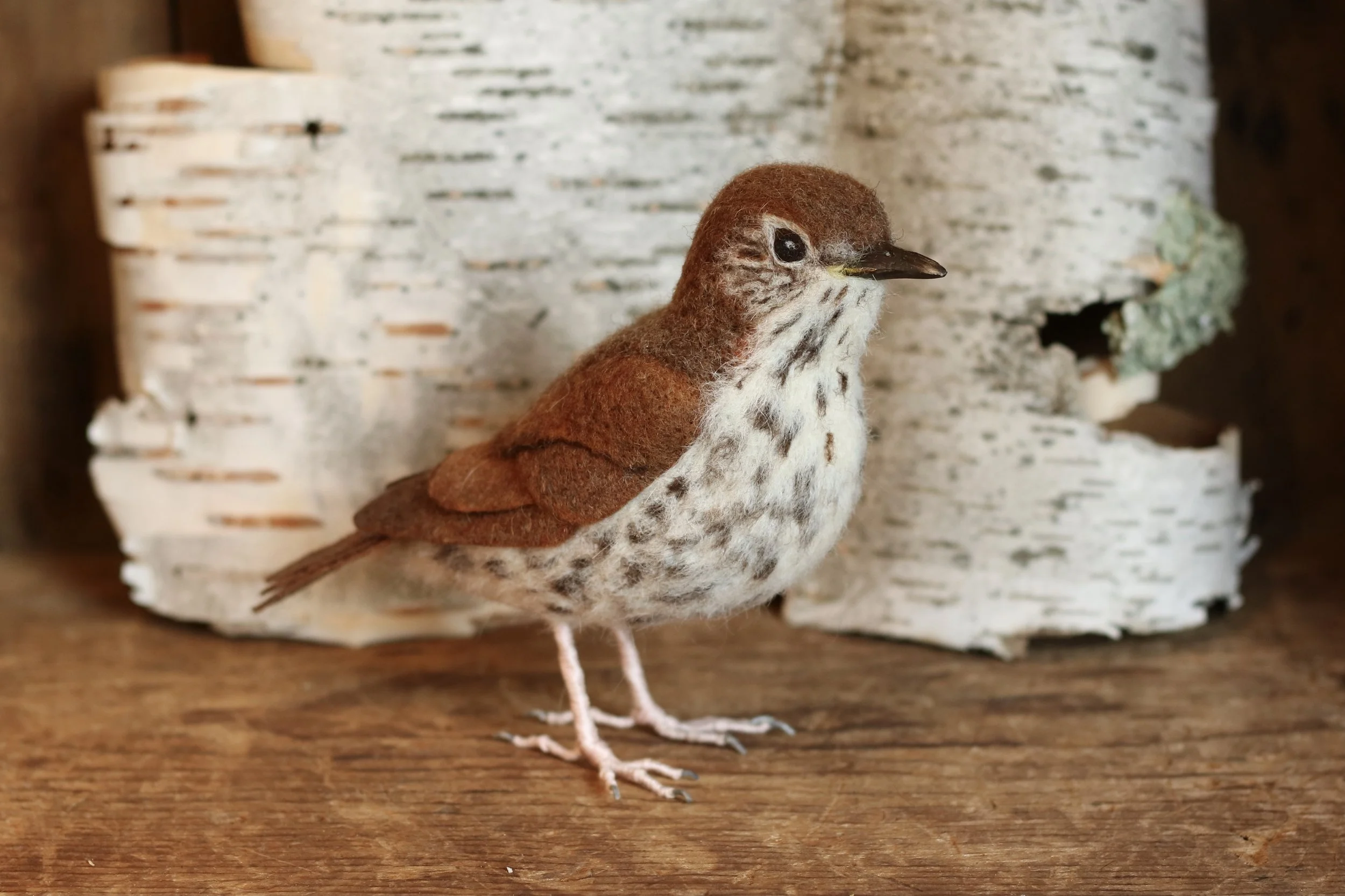 needle felted wood thrush