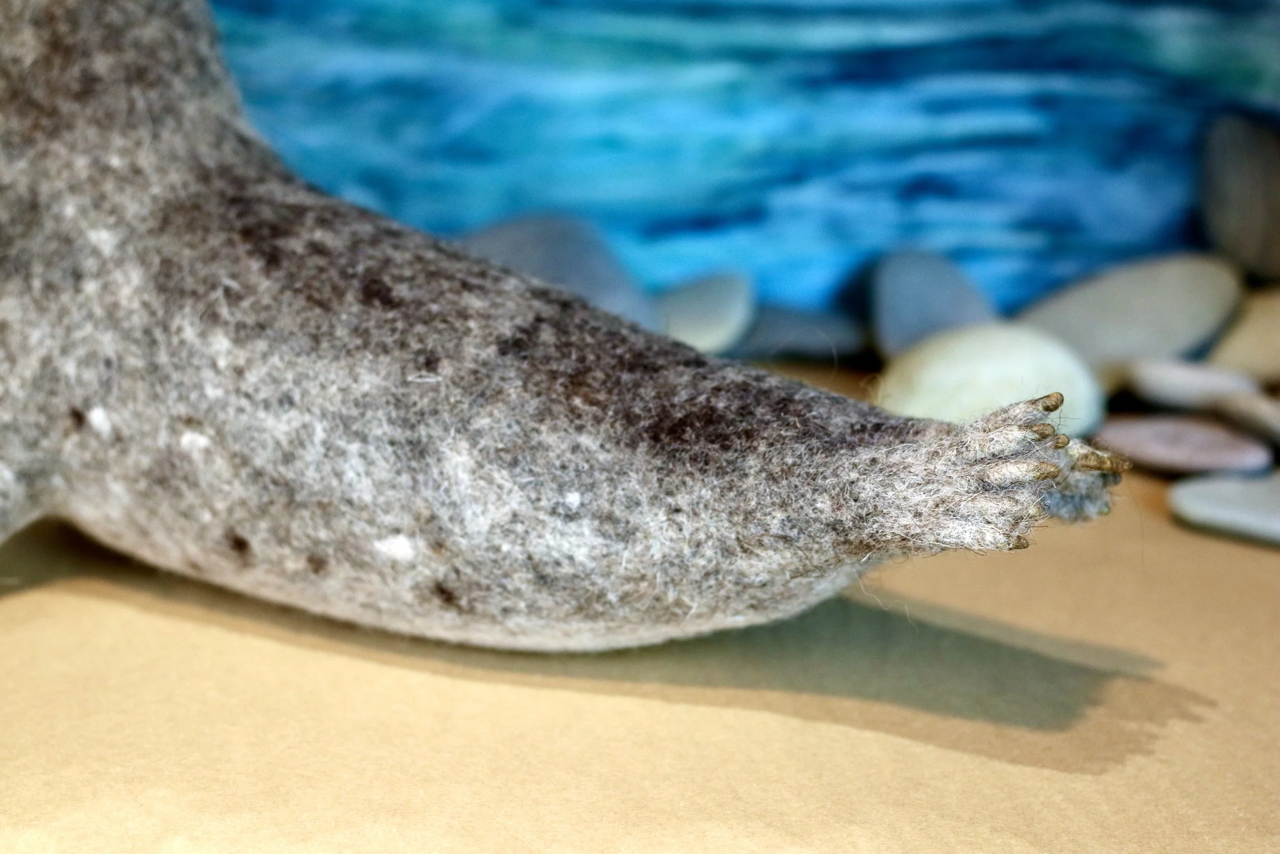 needle felted wool seal