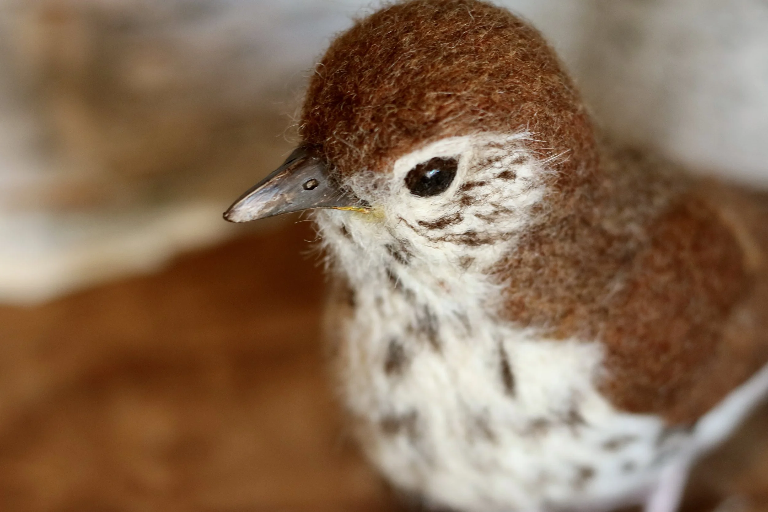 needle felted wood thrush