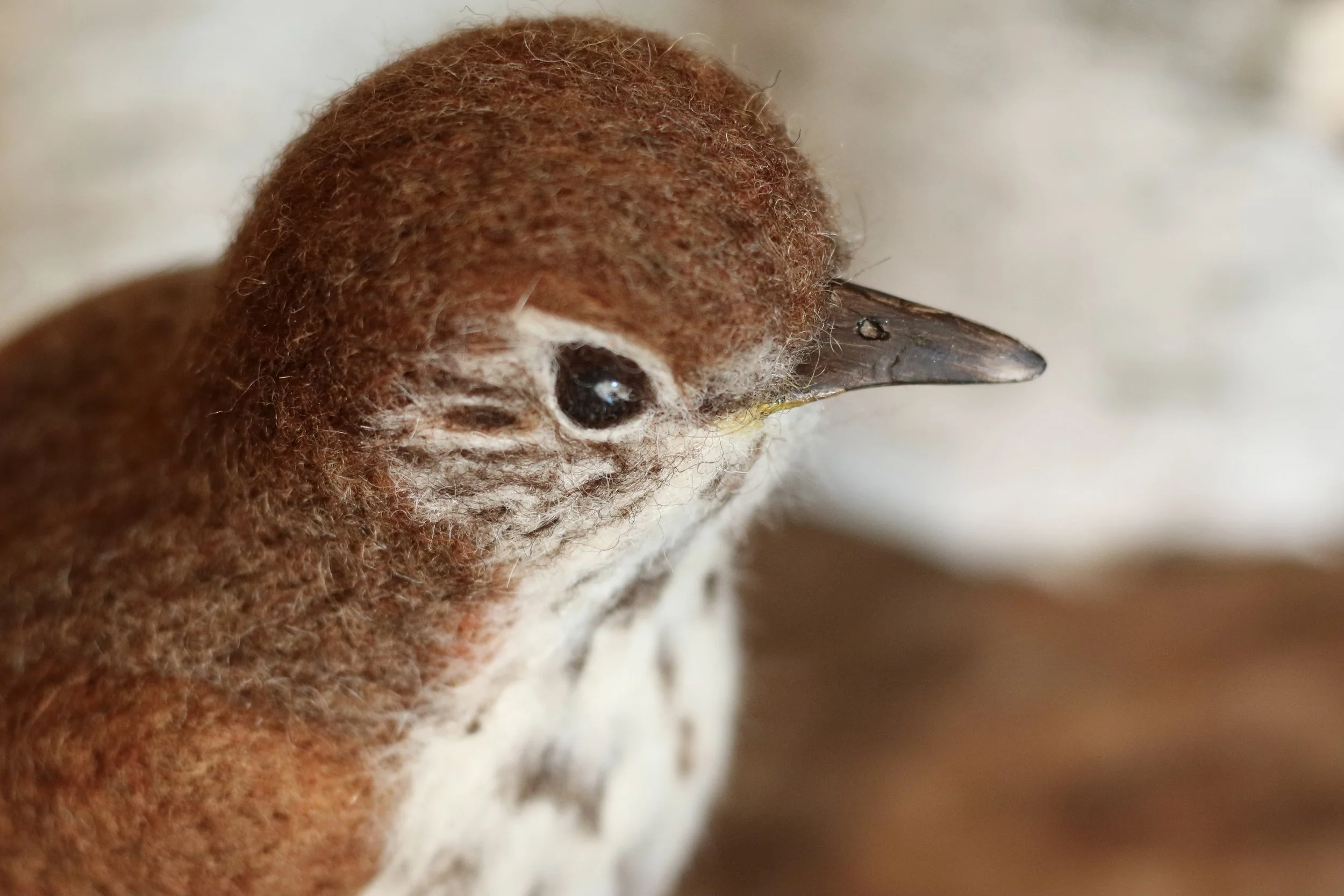 needle felted wood thrush