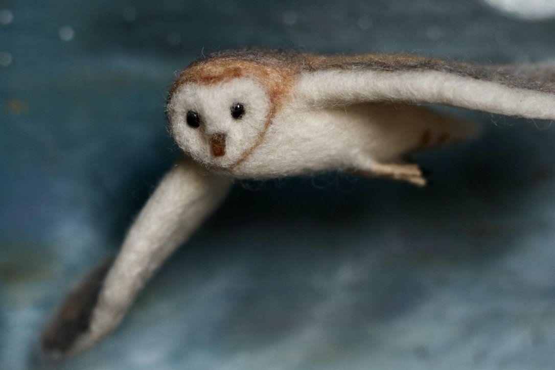 barn owl diorama