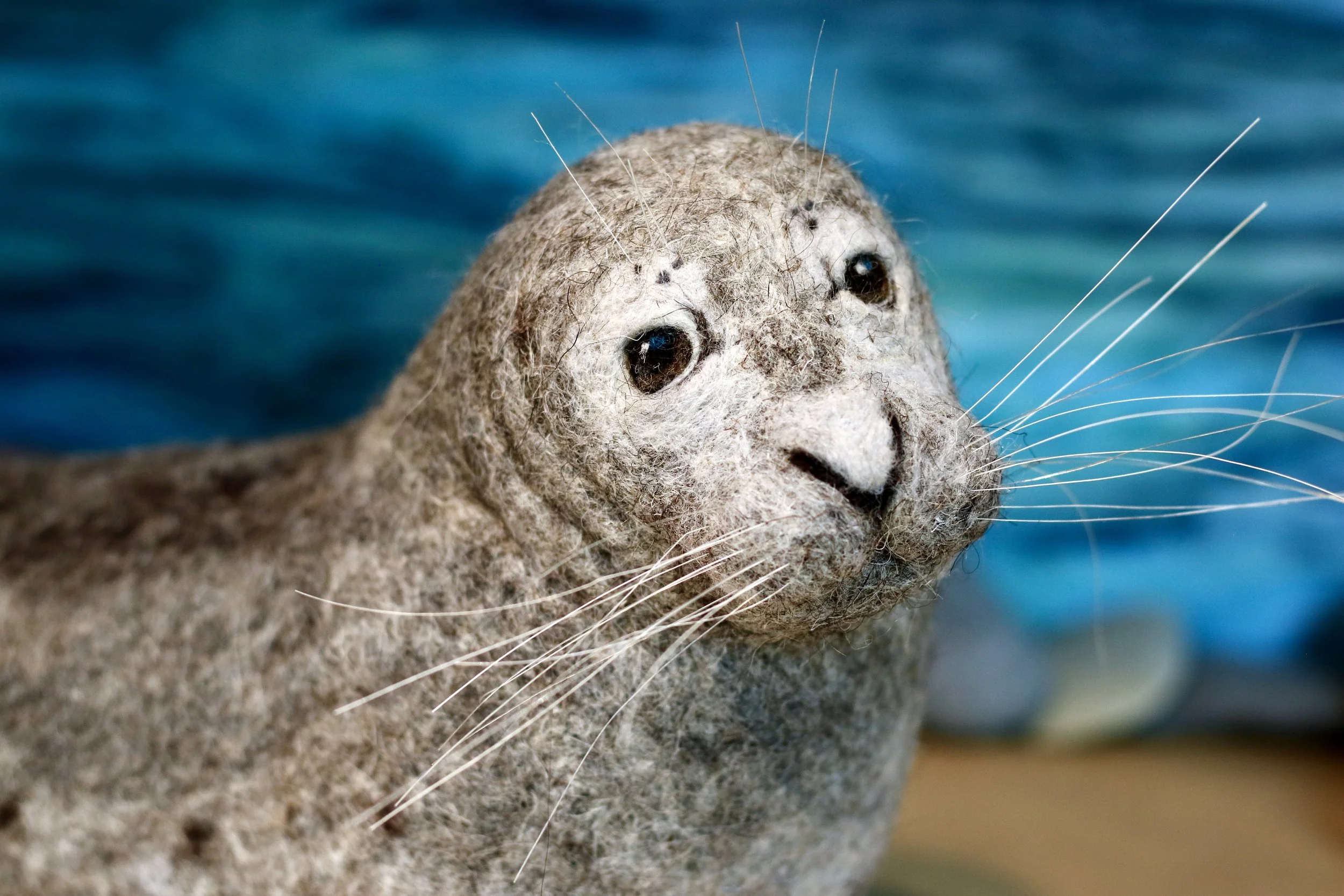 needle felted wool seal