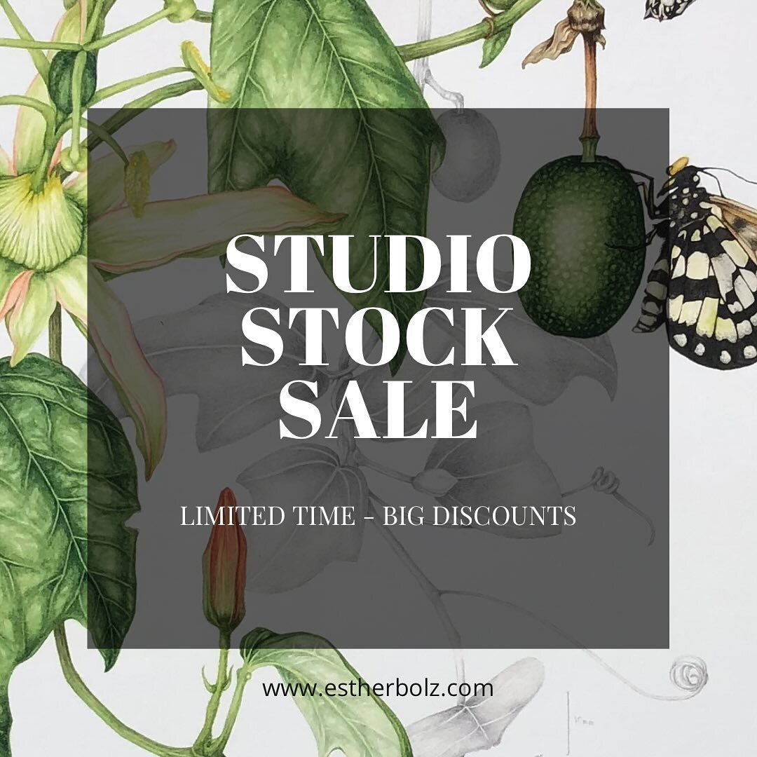 I don&rsquo;t do this often. I&rsquo;ve actually never done it before.
If you have had your eye on something in my store THIS is the time you&rsquo;ve been waiting for 🌟
.
I am about to have a break while my new studio space is setup and arrival of 