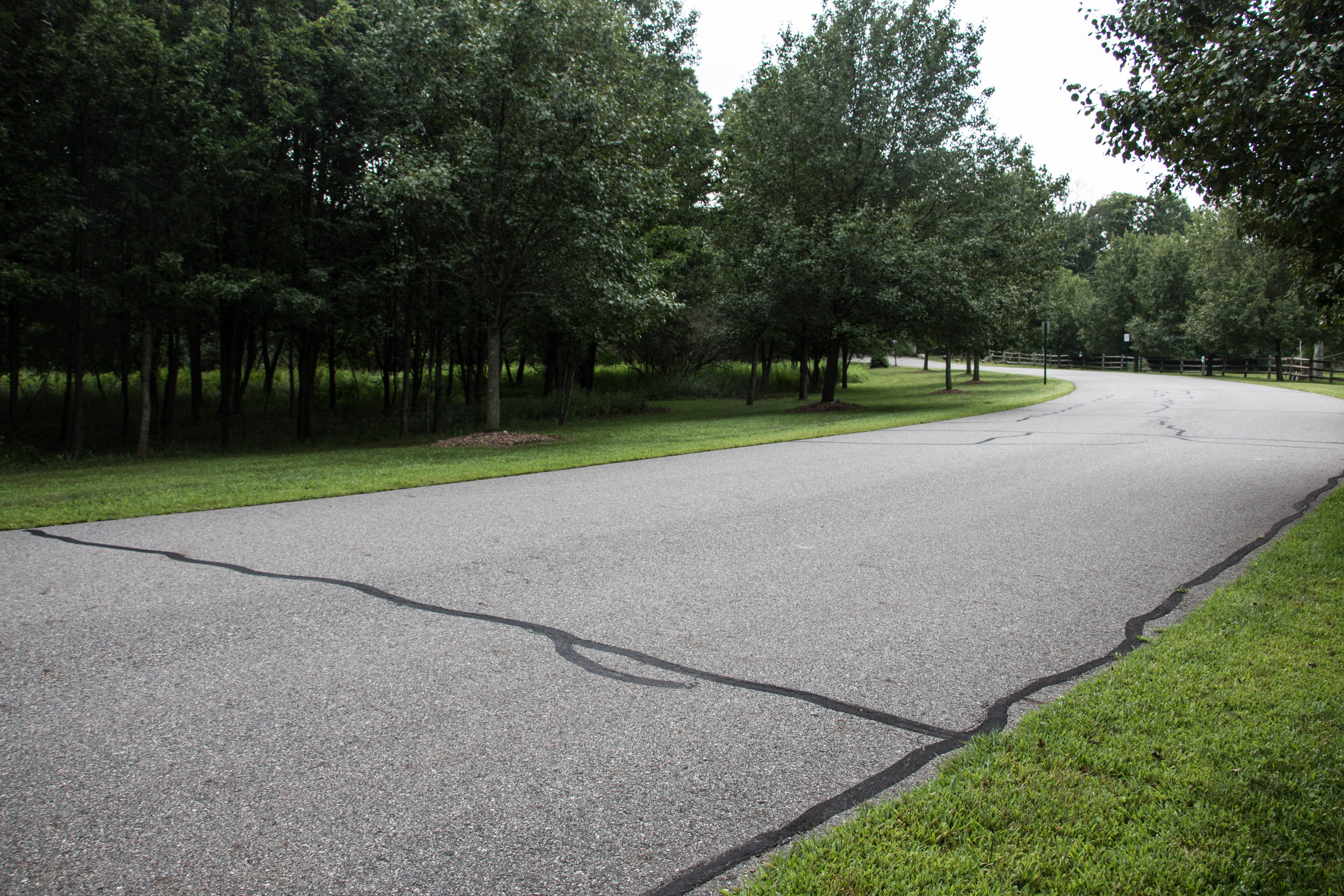 Line of sight from the street corner, taken on Ramapough Lenape Tribal Land