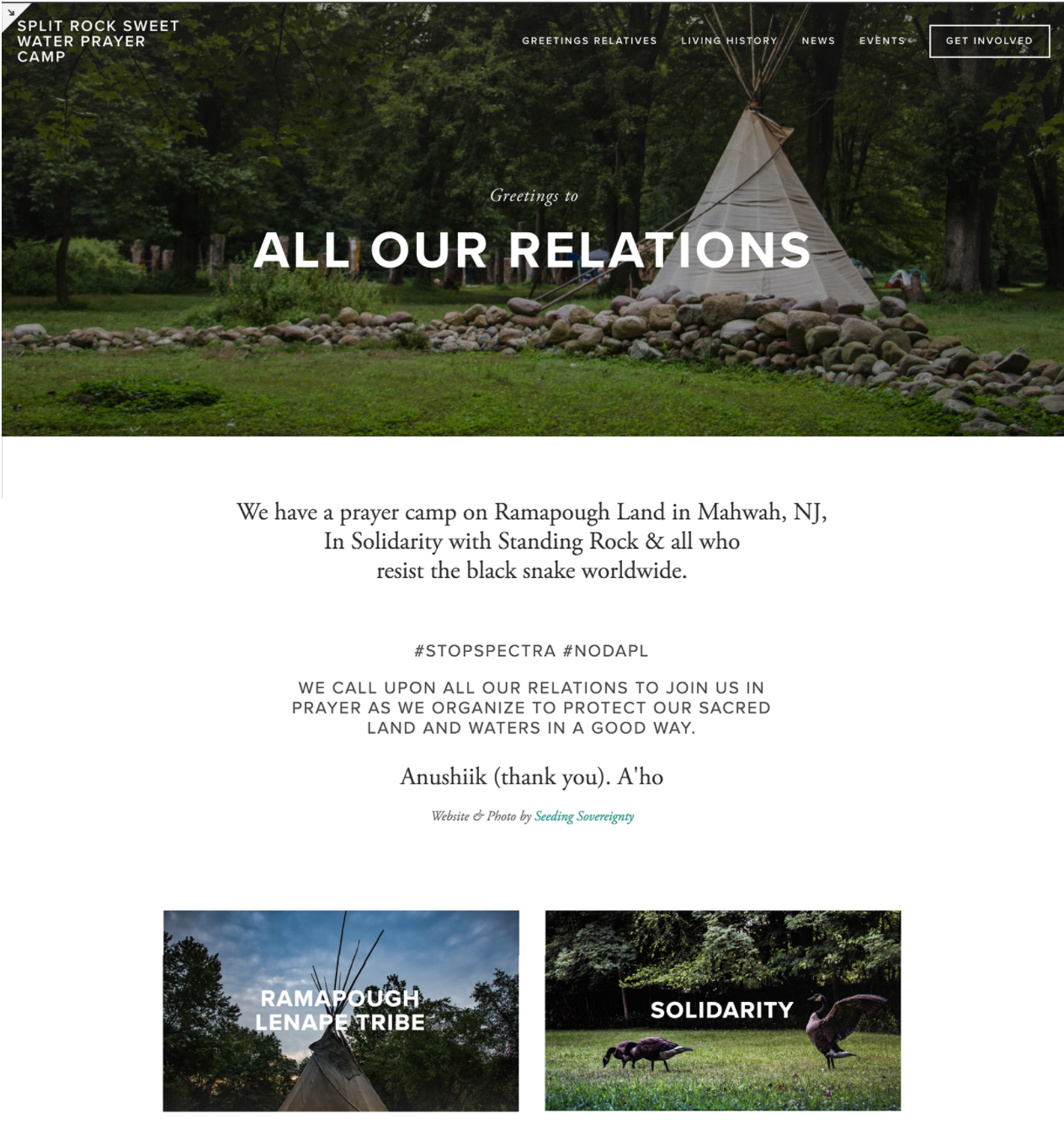 Screen Shot 2017-08-31 at 12.17.13 PM.png