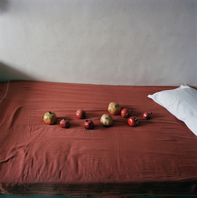 17.RedBed.jpg